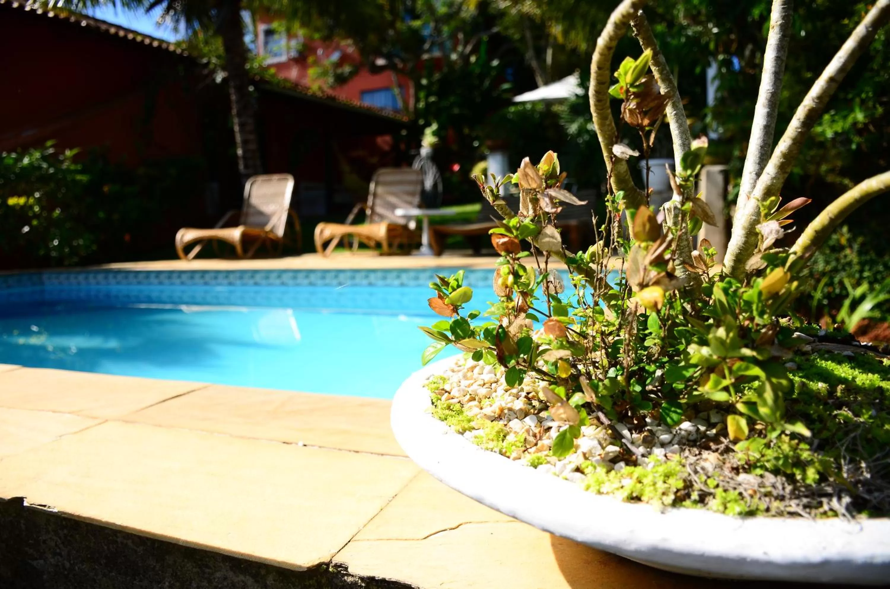 Pool view, Swimming Pool in Star Búzios Pousada