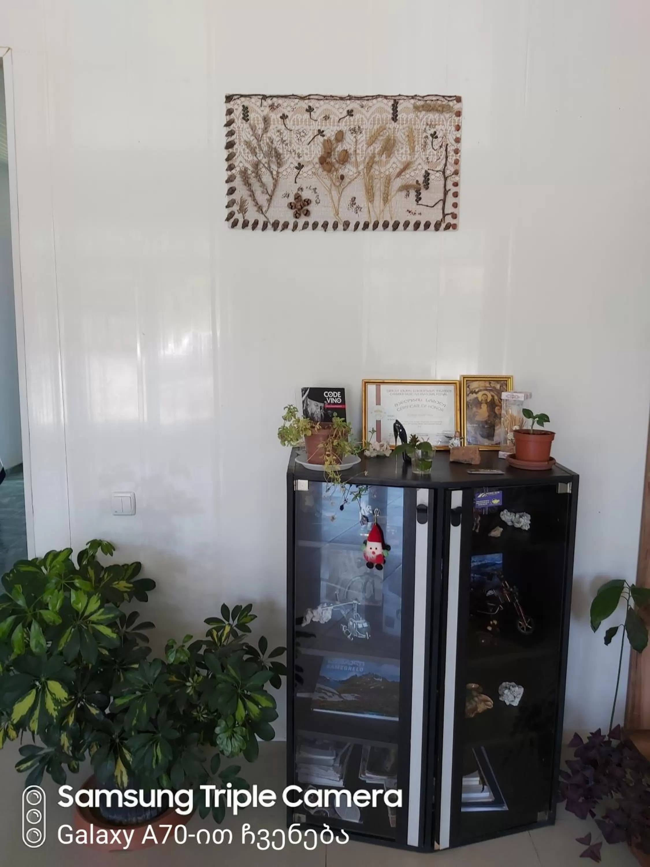 Facade/entrance in Martvili Newhotel