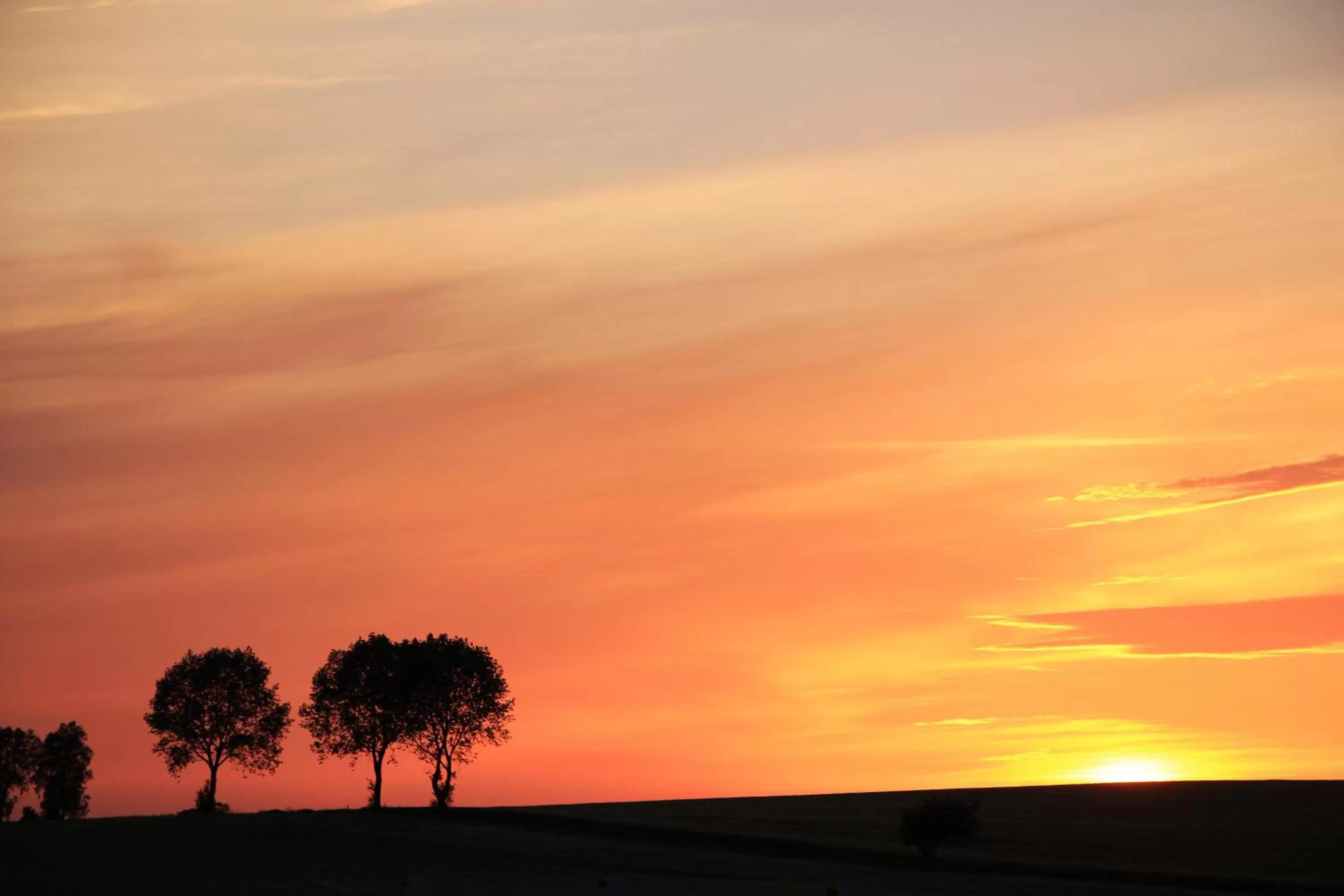 Sunset, Sunrise/Sunset in Hotel Am Markt