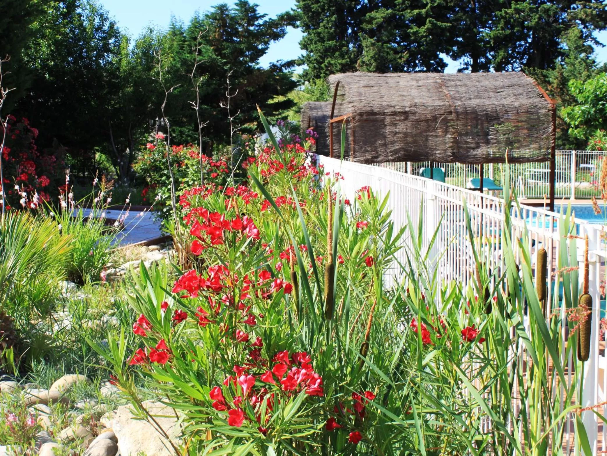 Garden in Appart'Hotel Festival Sud Aqua - Avignon TGV