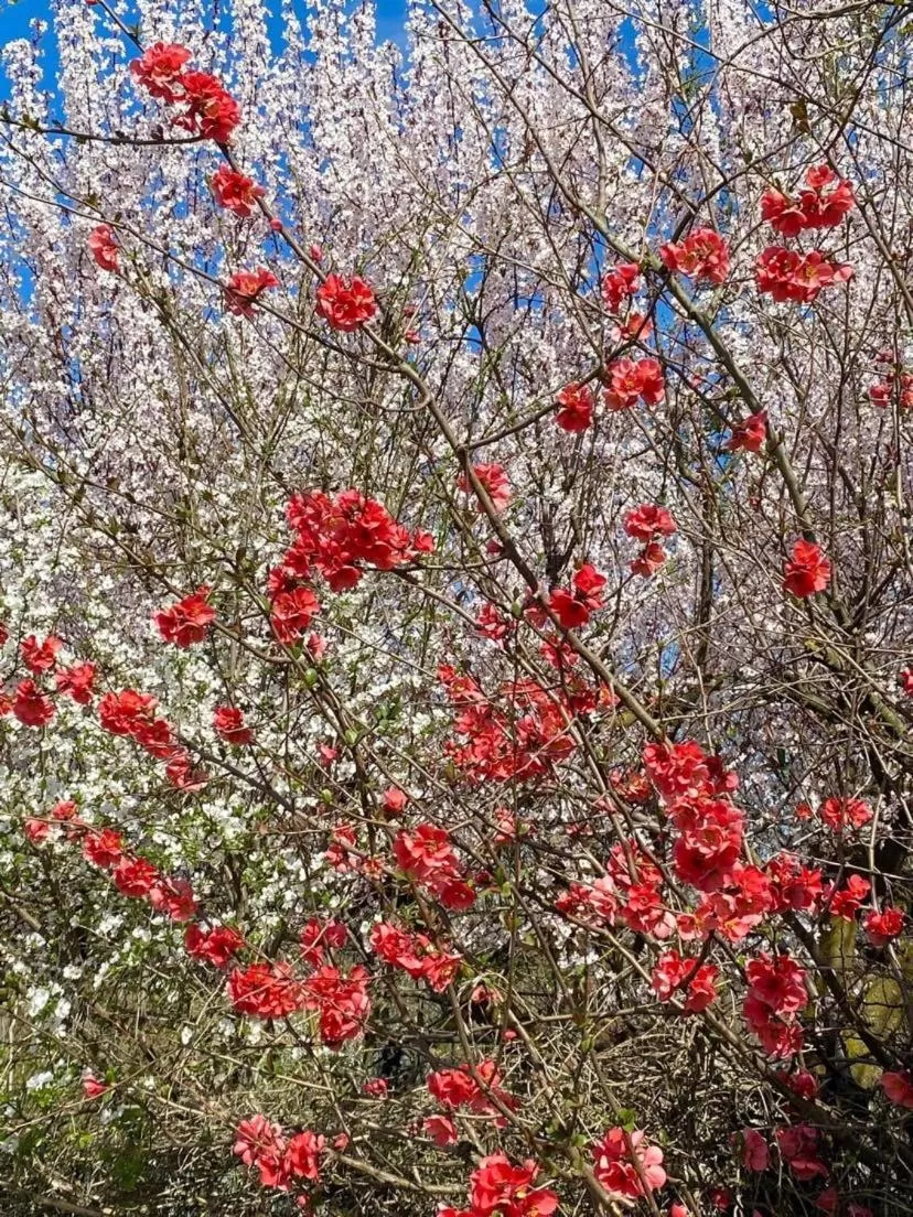La Casa di Valeria - Modena
