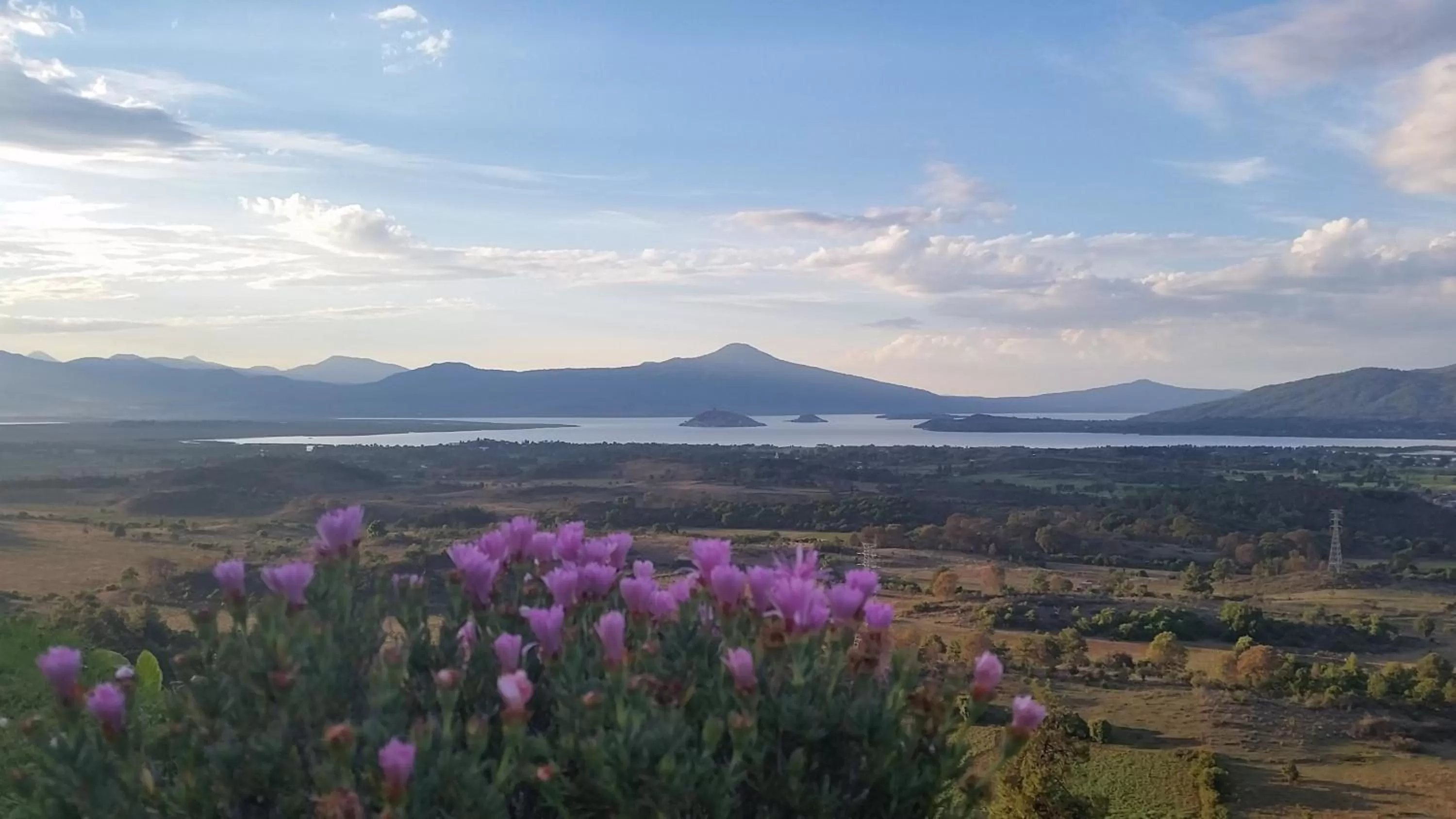 Garden in Eco Hotel Ixhi