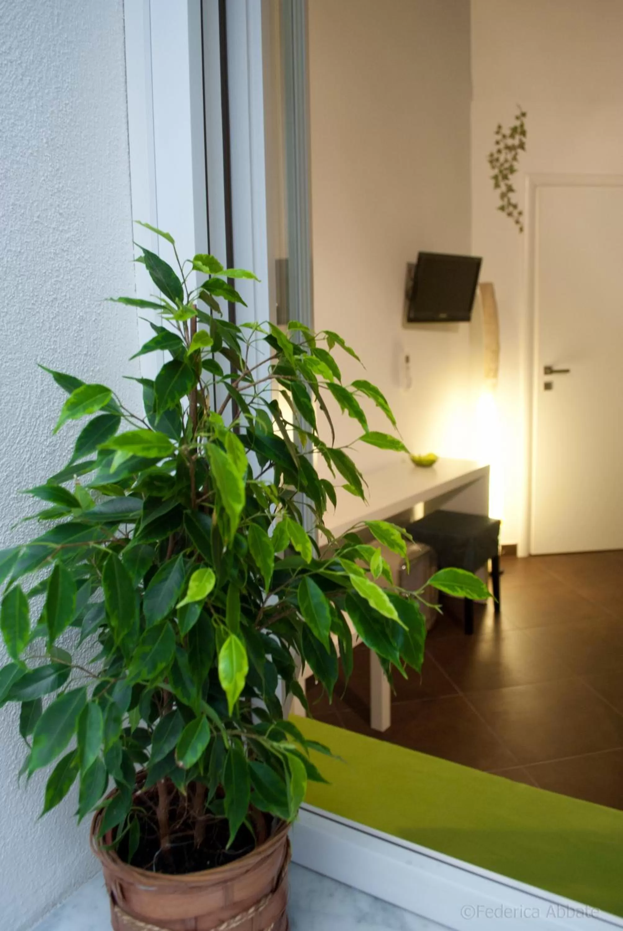 Photo of the whole room in Affittacamere B&B Carella