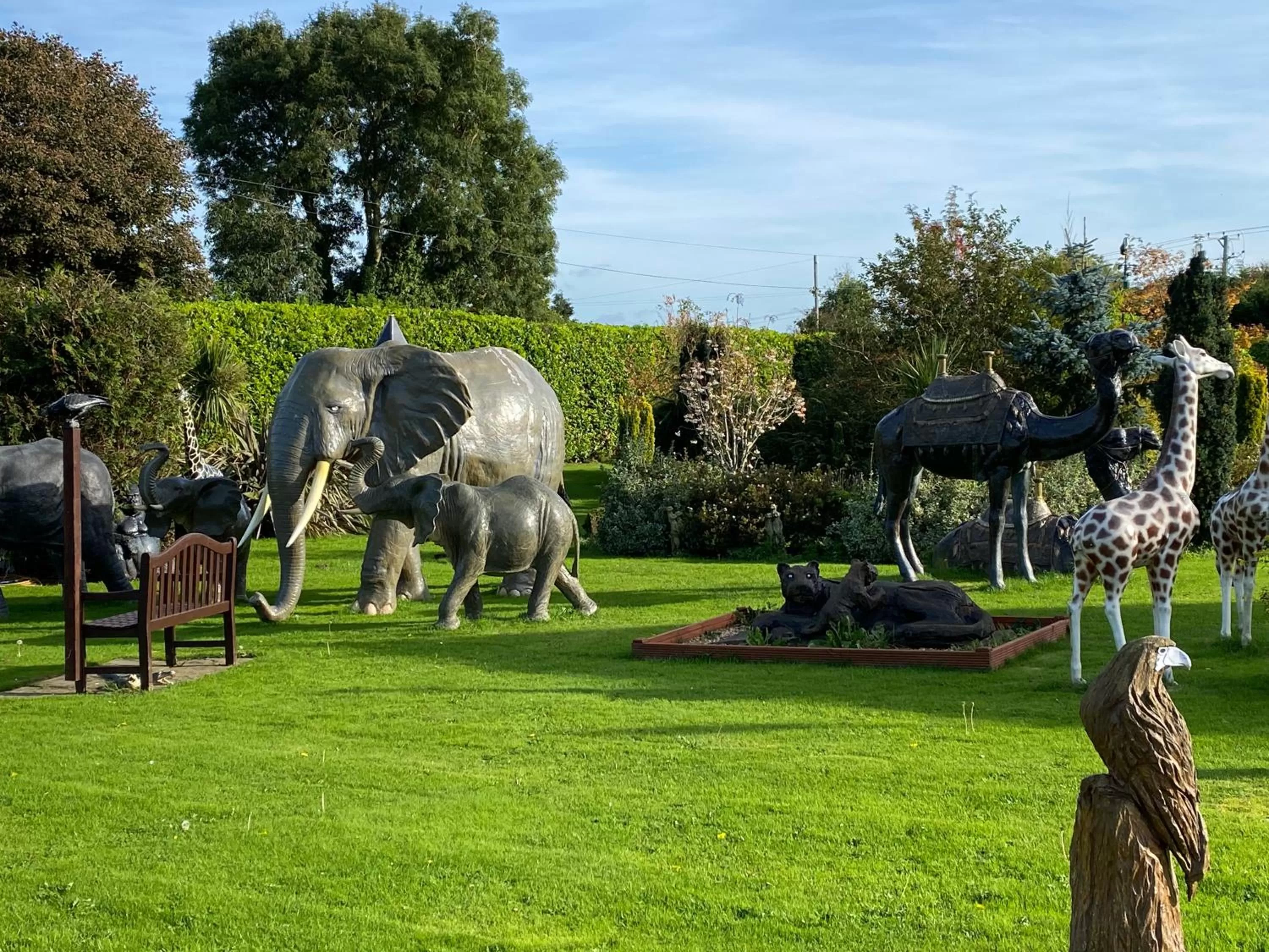 Garden in The Hilltop Haven