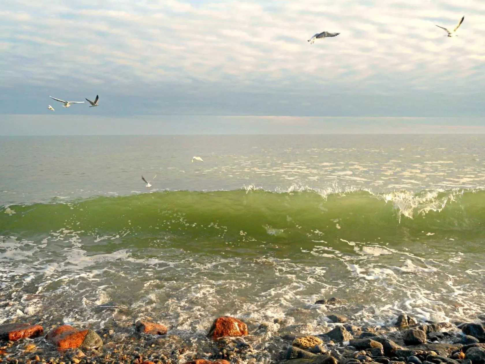 Sea view, Bird's-eye View in Shalanda