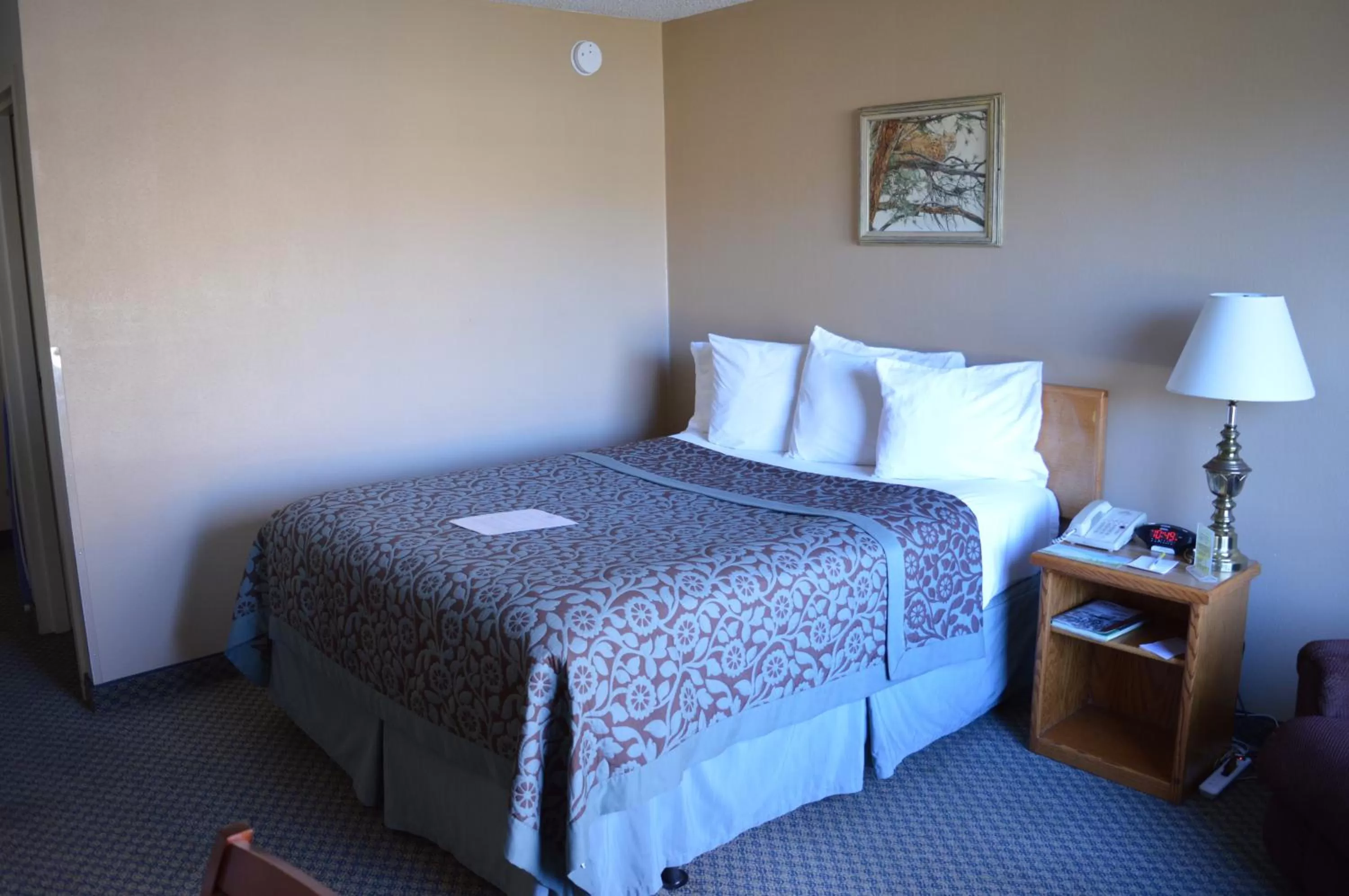 Queen Room in Hot Springs Hotel & Spa