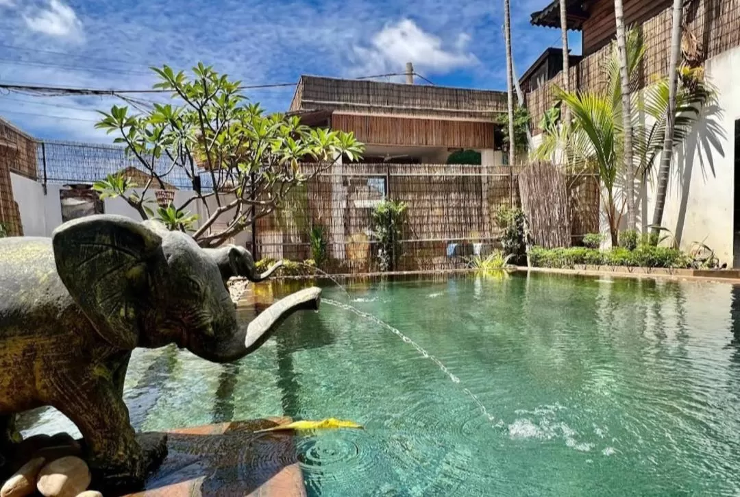 Swimming pool, Other Animals in ERCAN BOUTiQUE