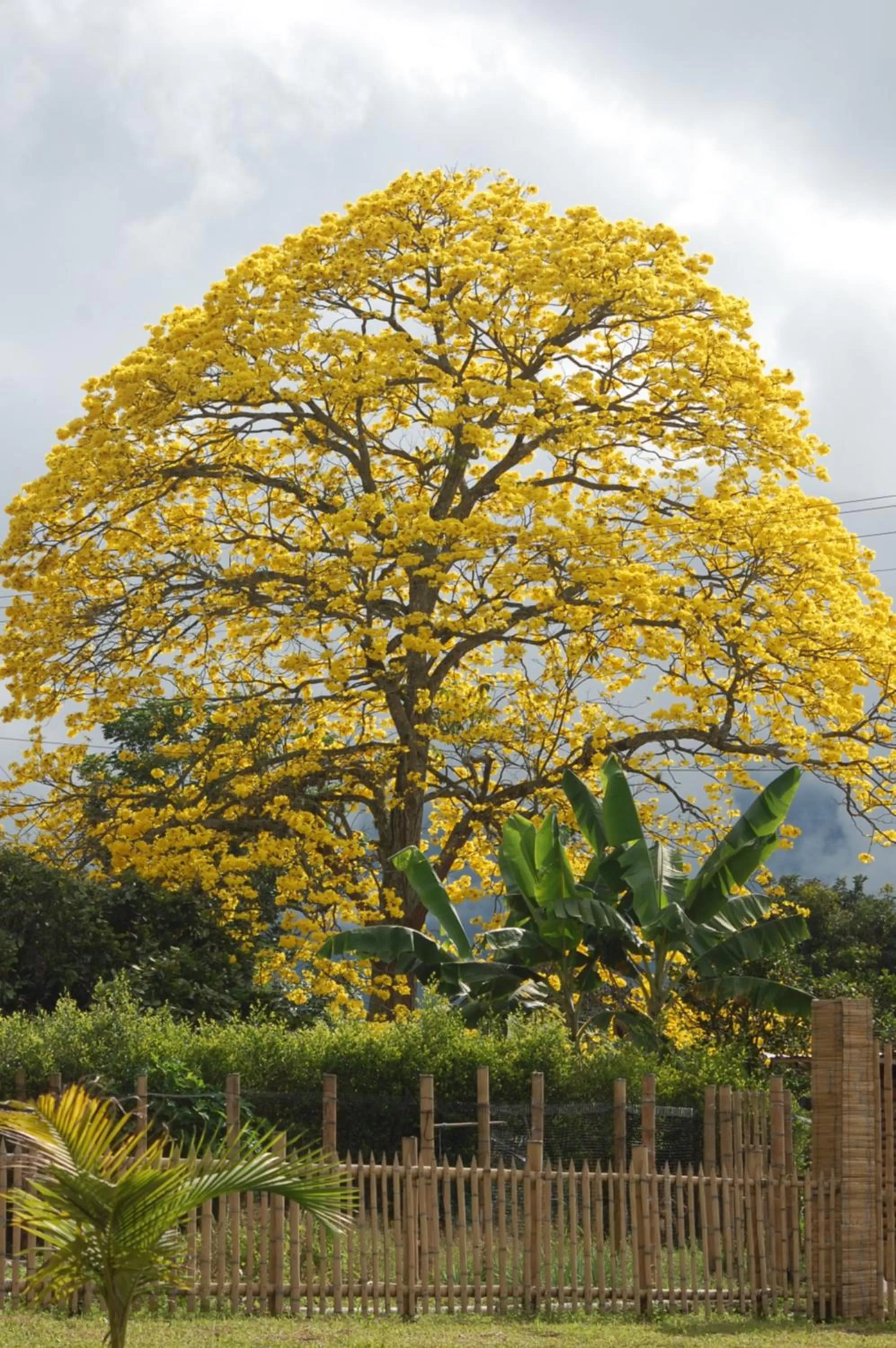 Off site in Ecohotel Alma