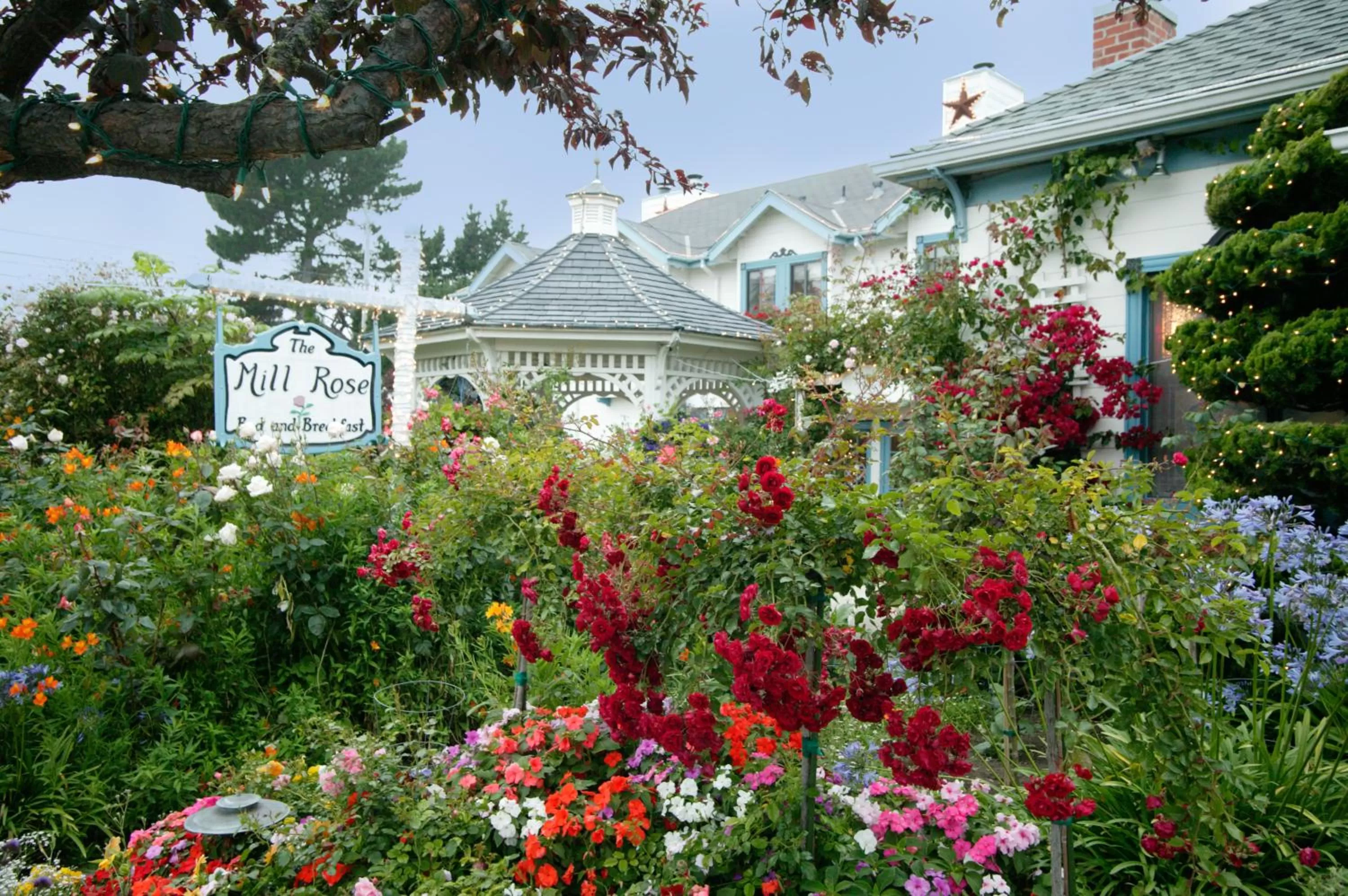 Facade/entrance in Mill Rose Inn