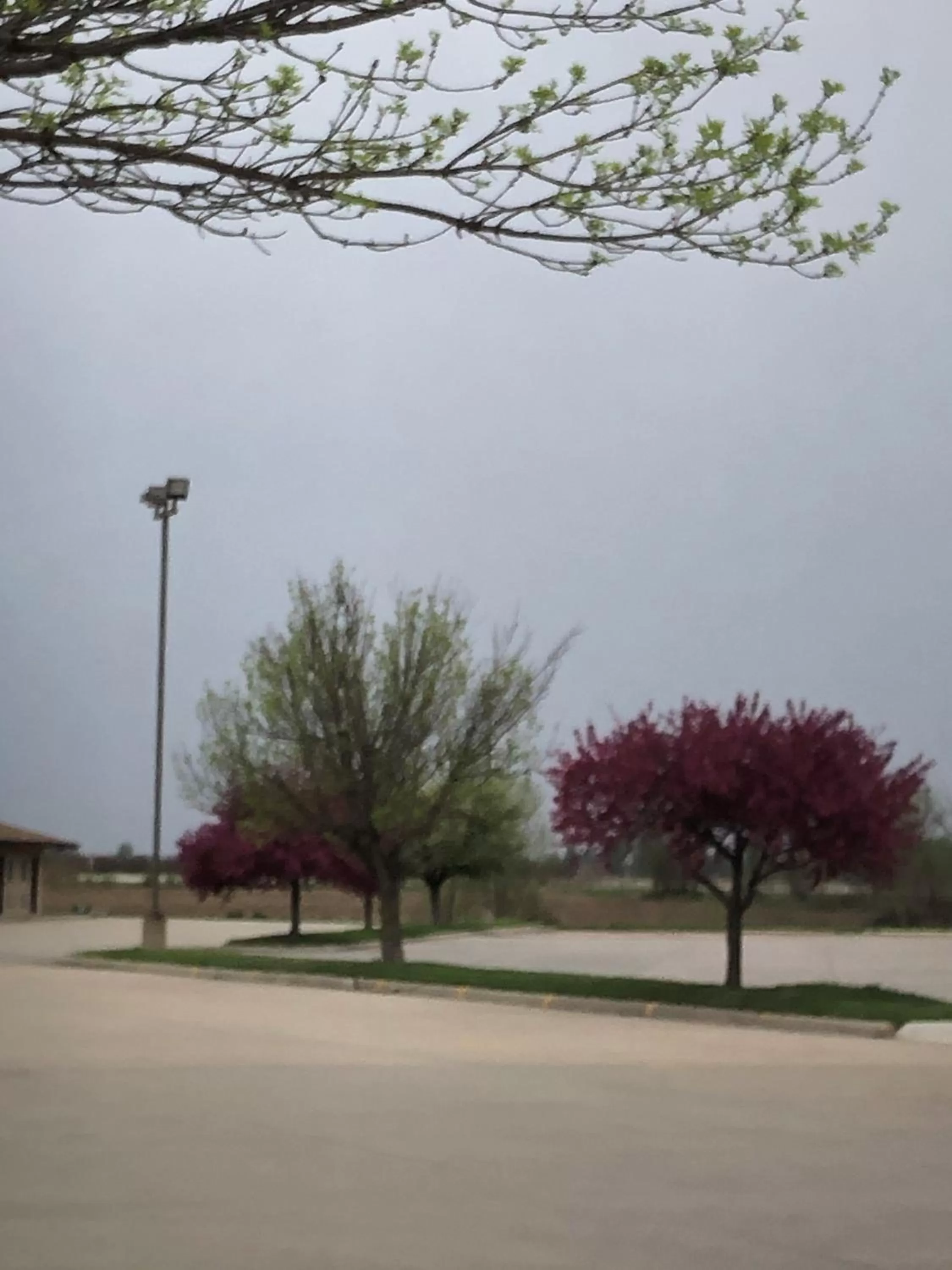 Natural landscape in Americas Best Value Inn Onawa