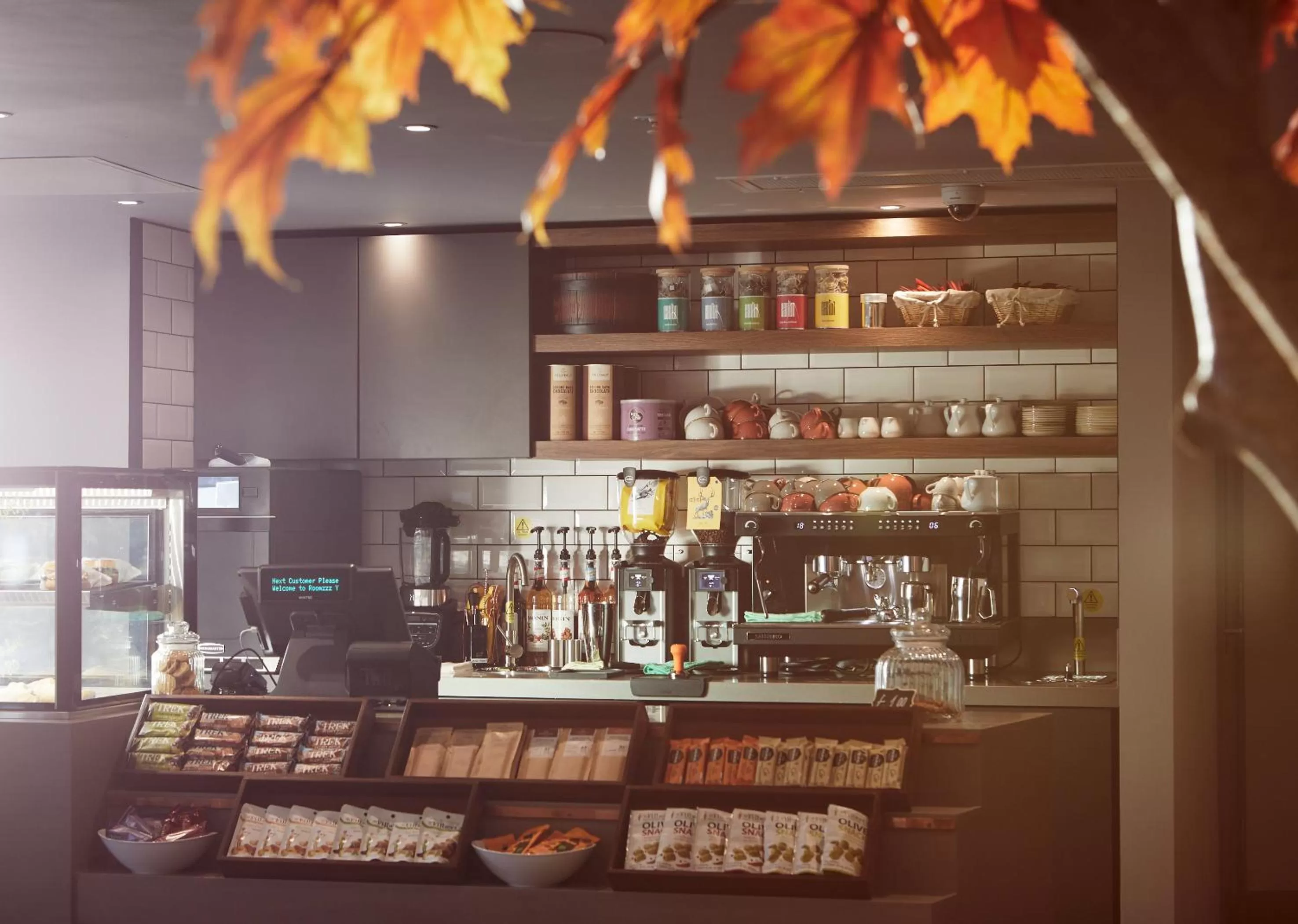 Area and facilities in Roomzzz York City