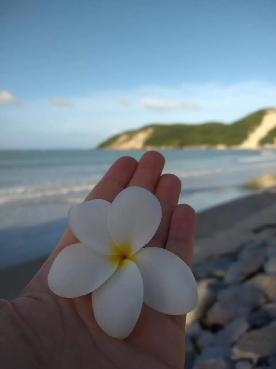 Sea view in Pousada America do Sol