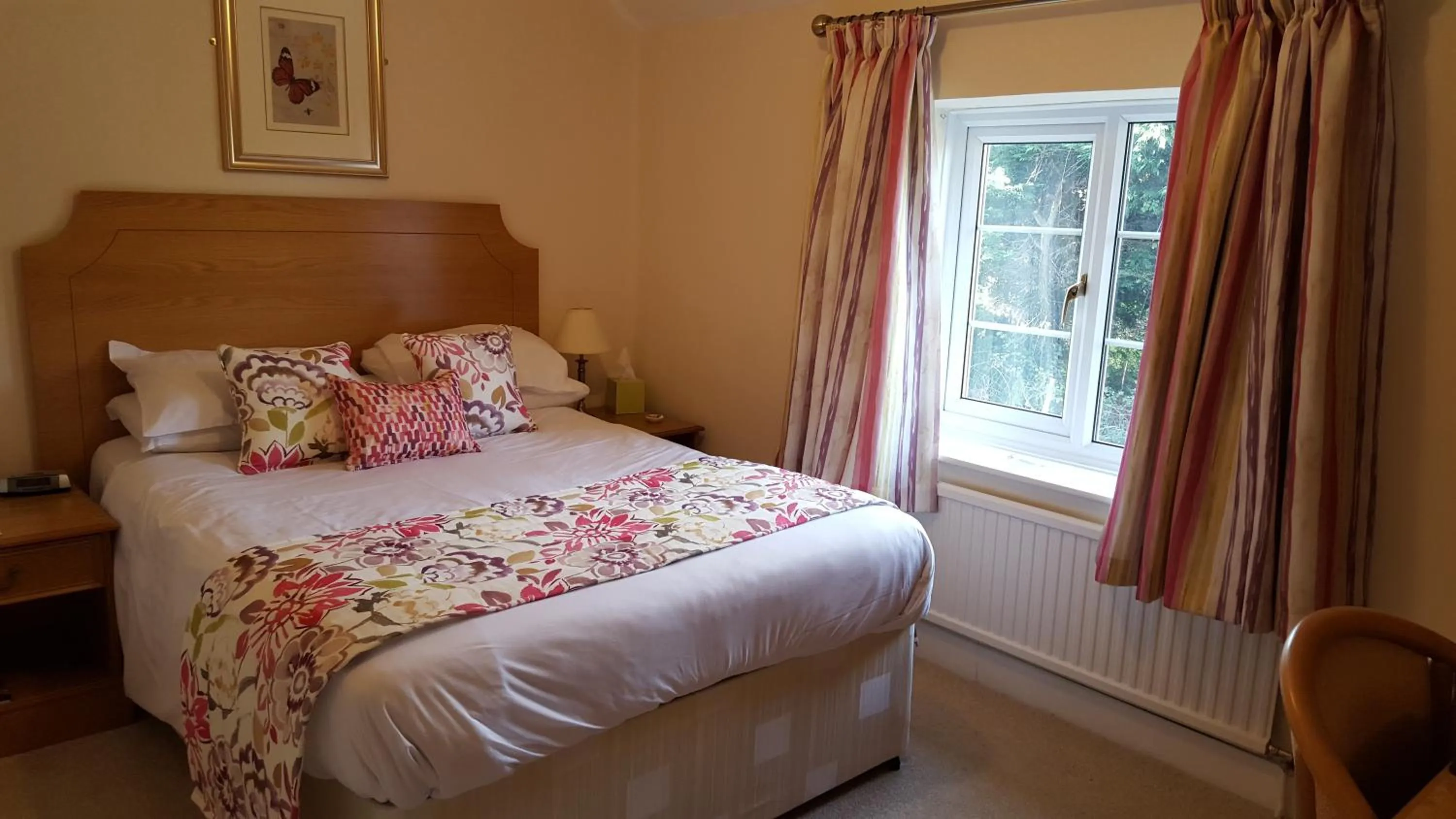 Photo of the whole room in Apple Tree Hotel
