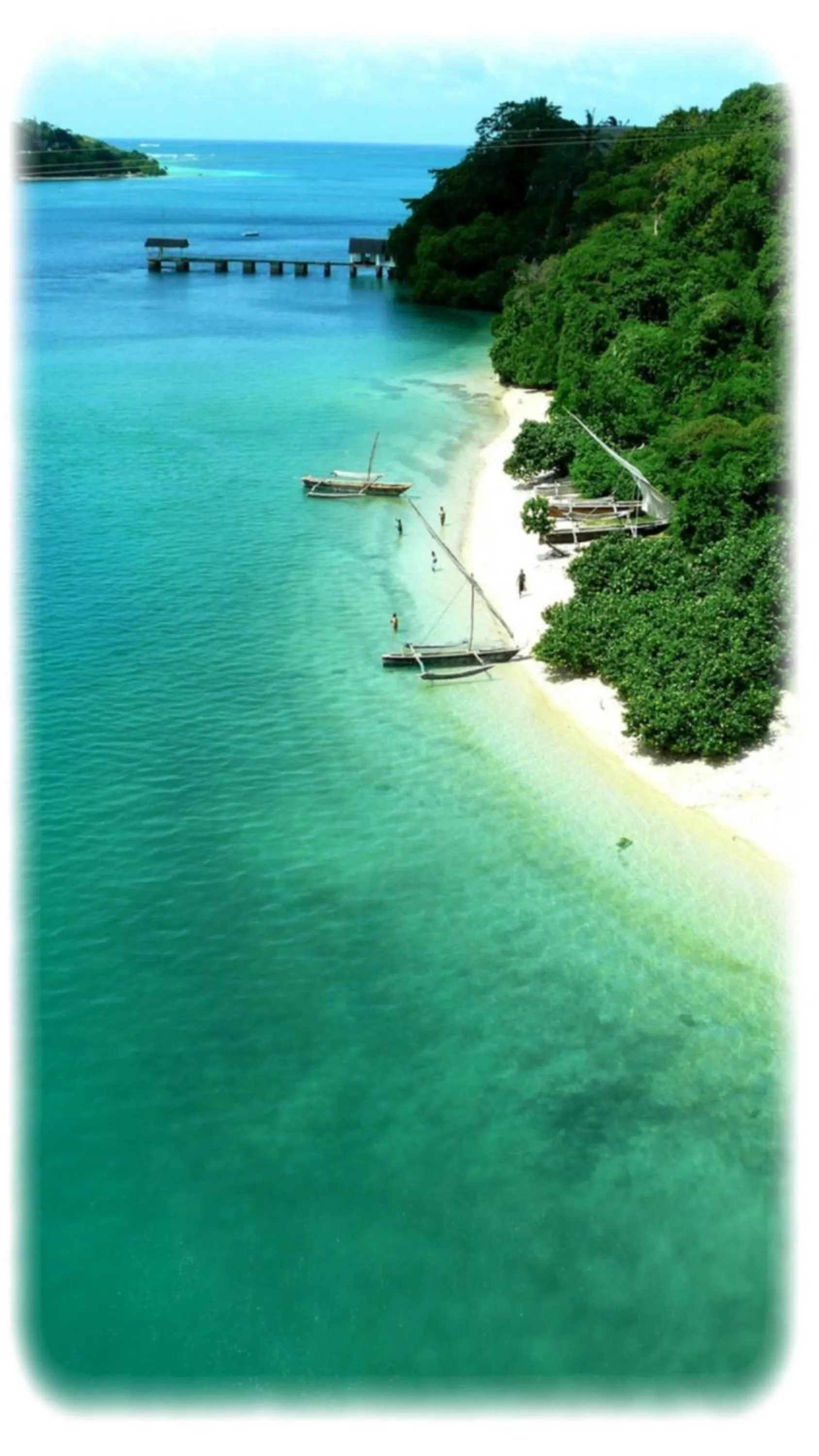 Natural landscape in Distant Relatives Ecolodge & Backpackers