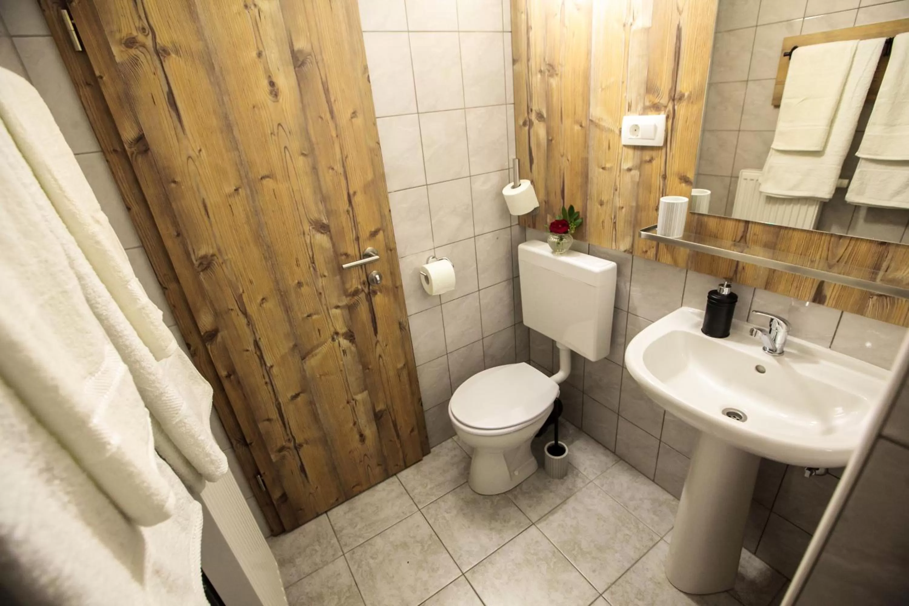 Shower, Bathroom in Hiša Poljana