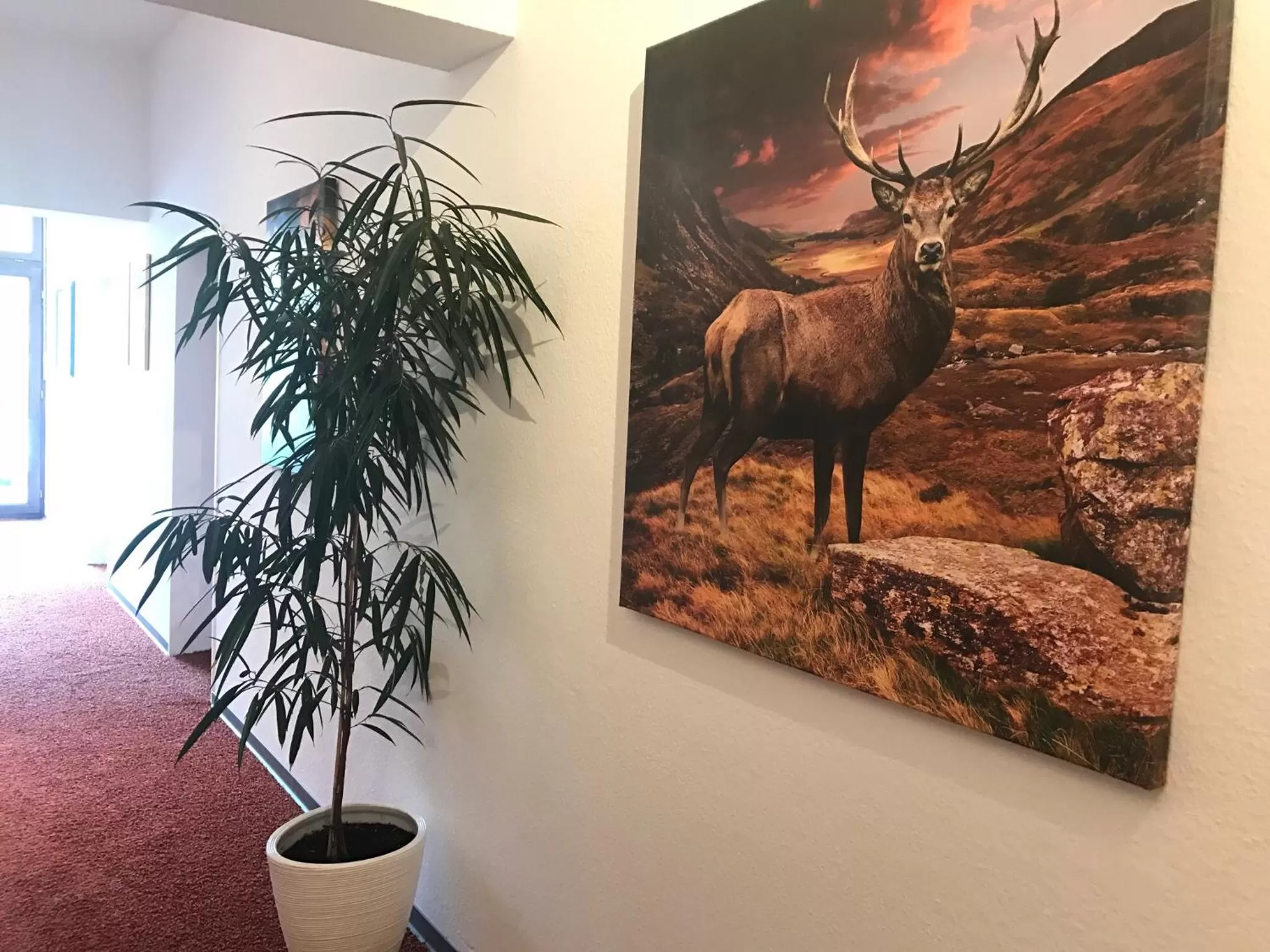 Gästehaus beim Prinz