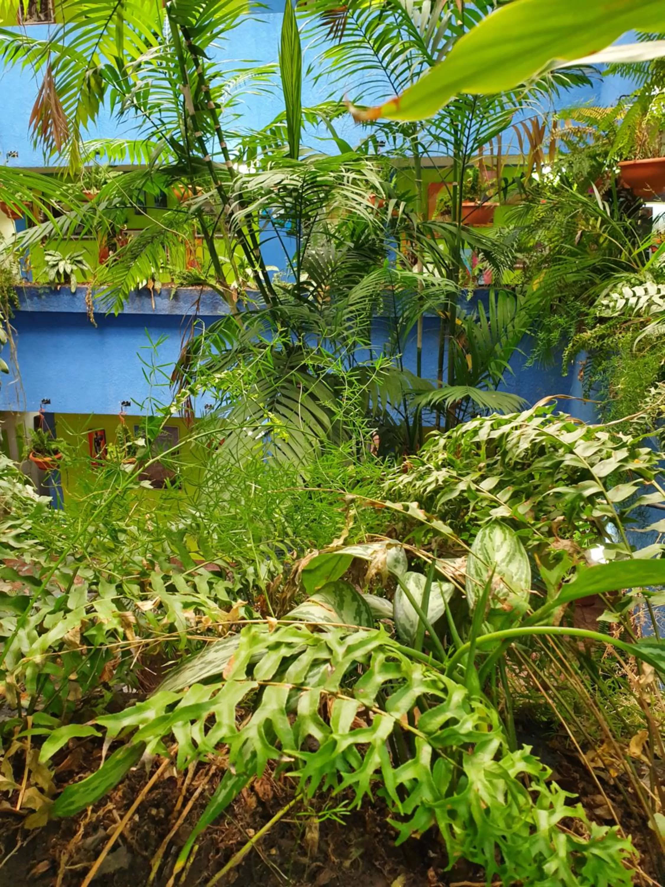 hotel kasa kamelot 2