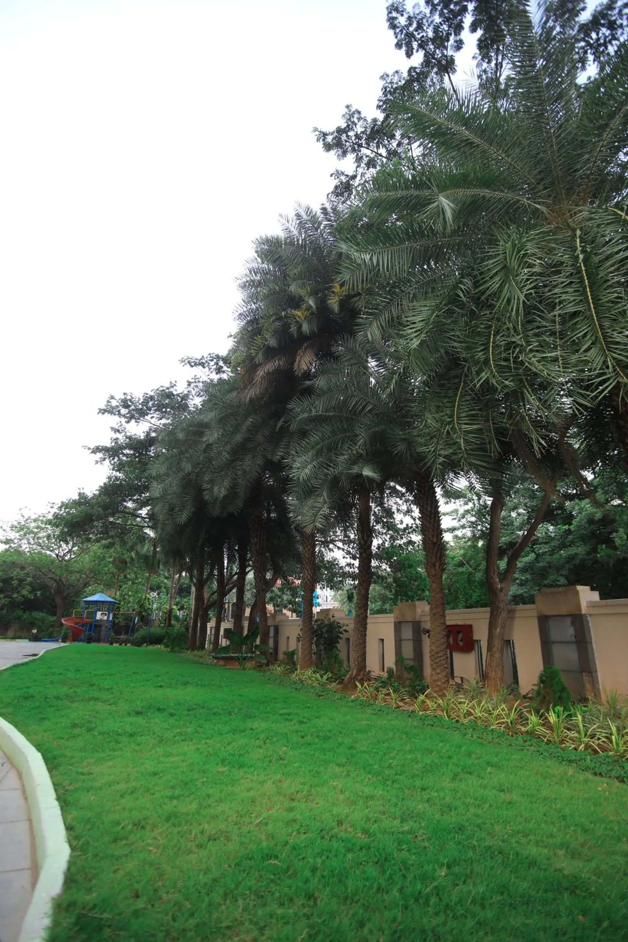 Garden in Somerset Greenways Chennai