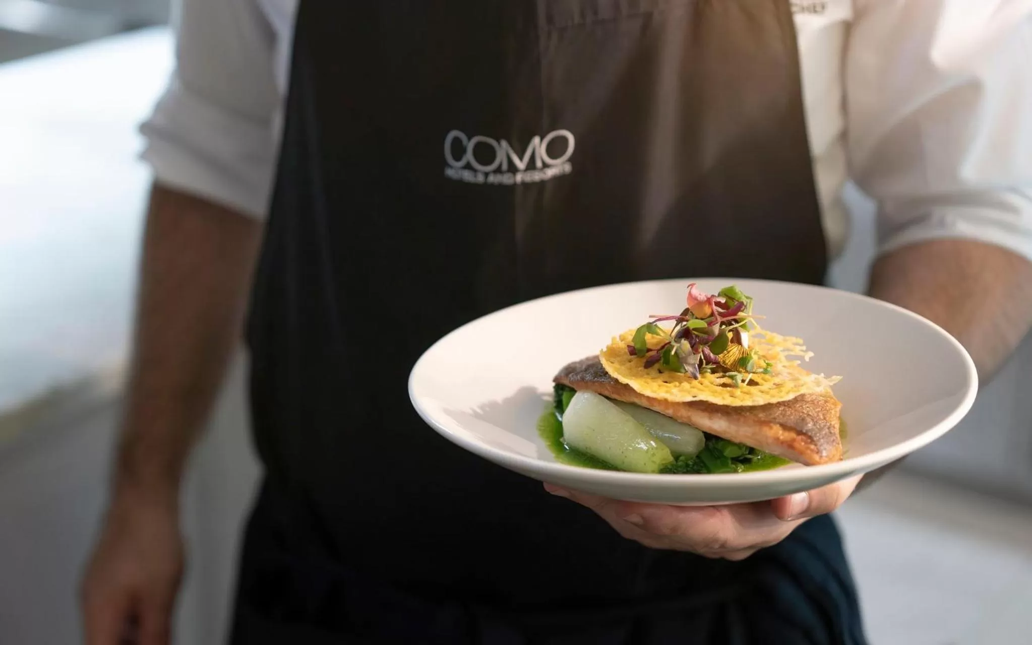 Restaurant/places to eat in COMO The Halkin