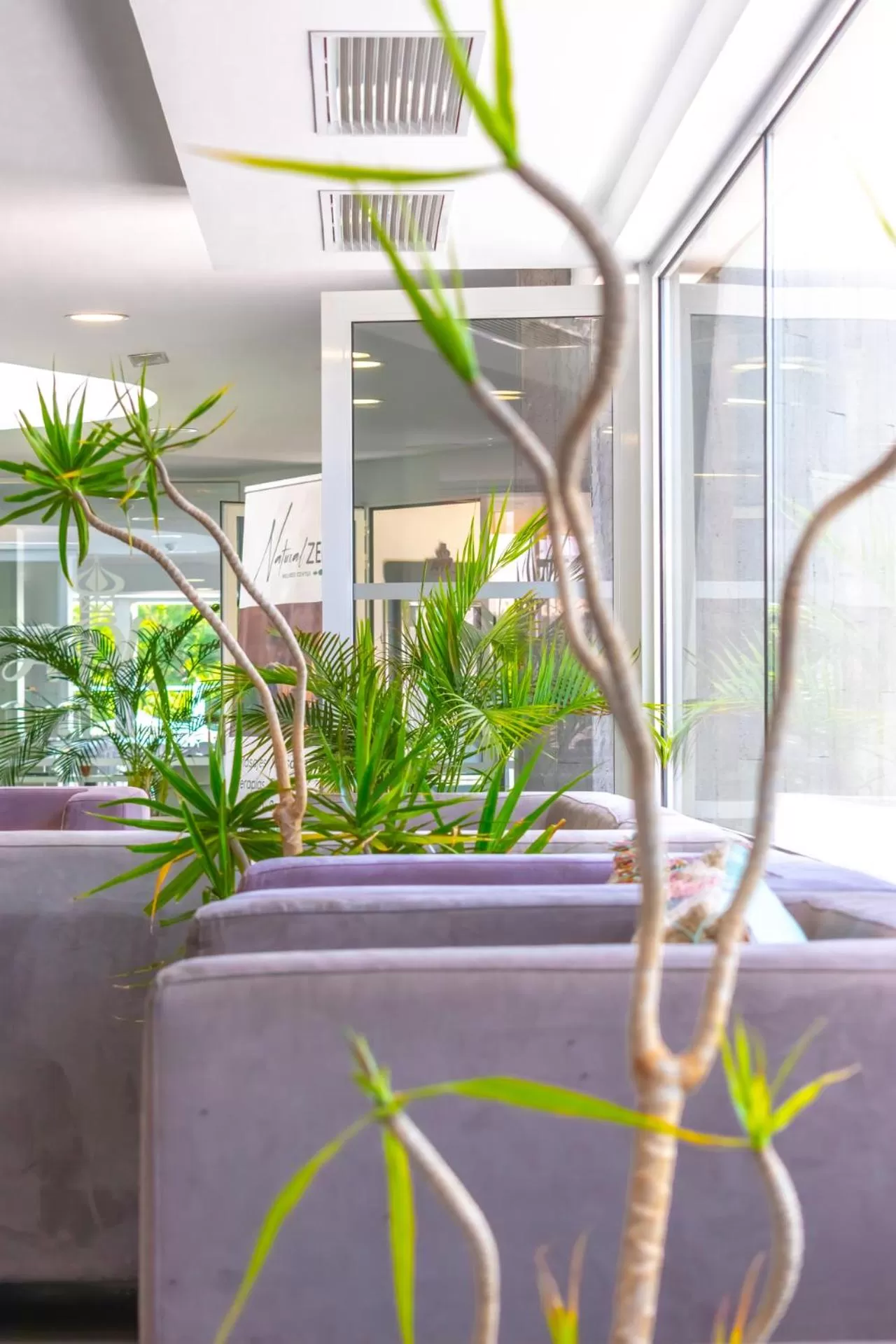 Property building in Hyde Park Lane