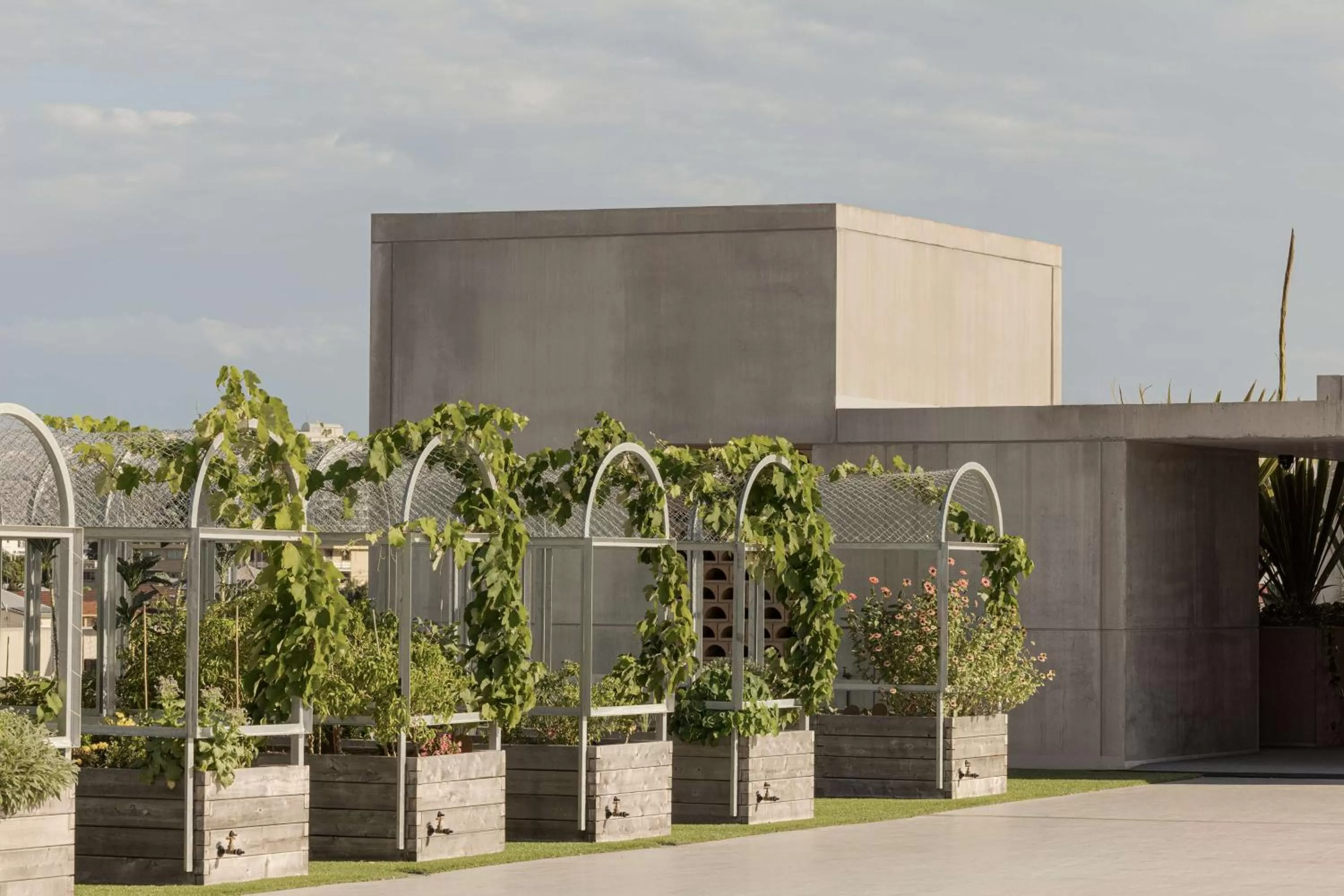 Property building in The Calile Hotel