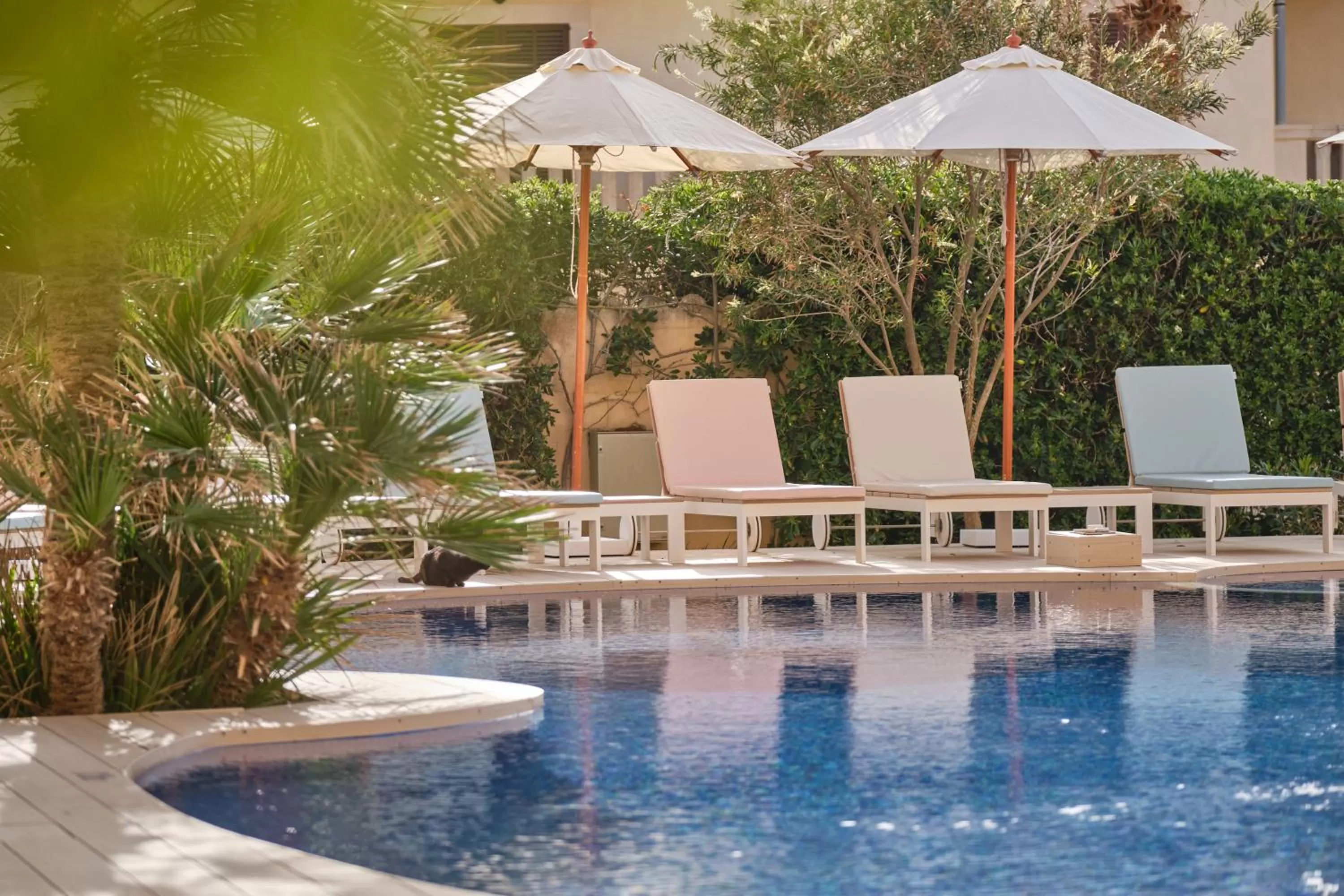 Swimming pool in Hotel Villa Chiquita - Adults Only - Over 12