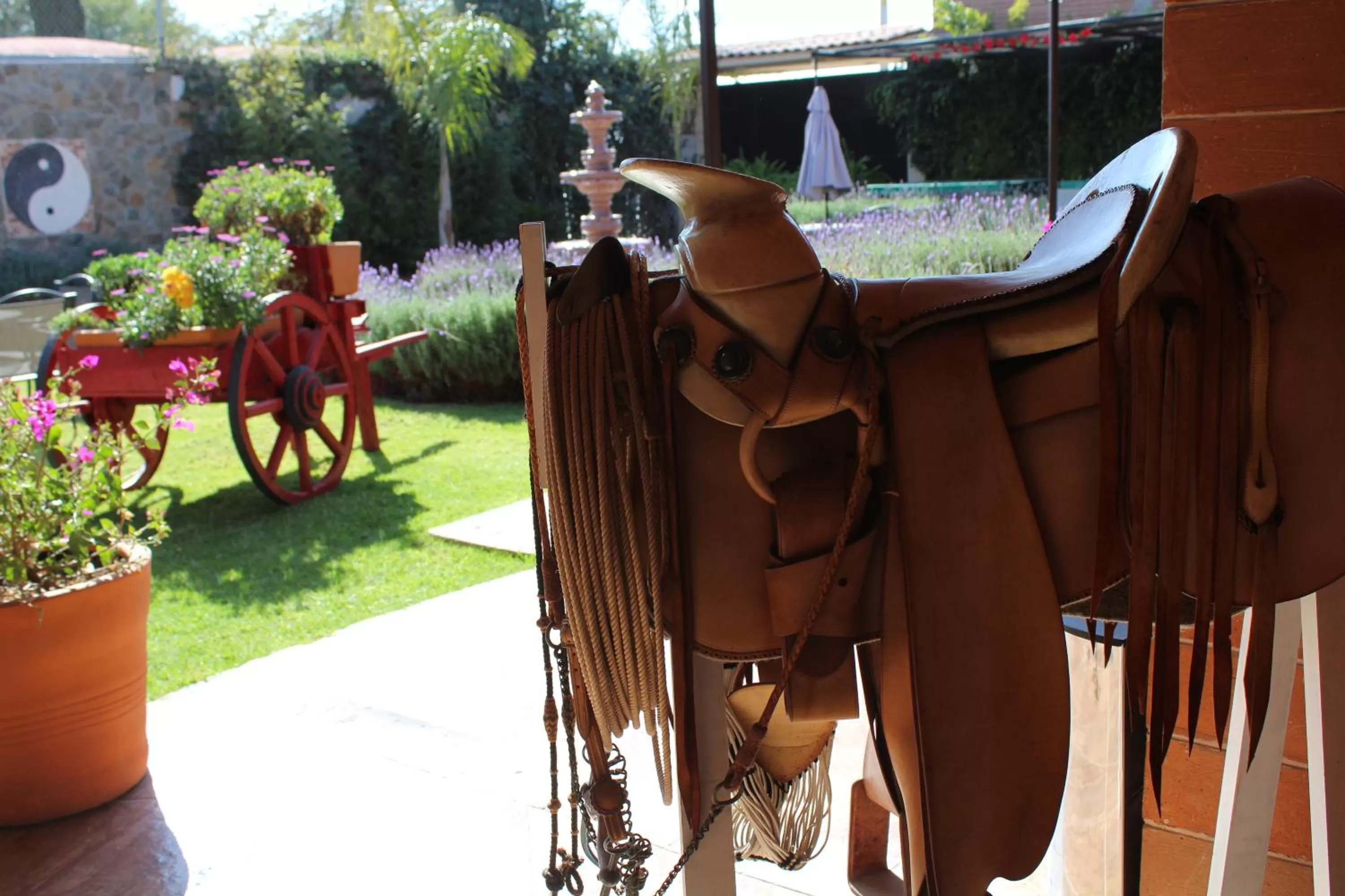 Day in Hotel Boutique La Herencia