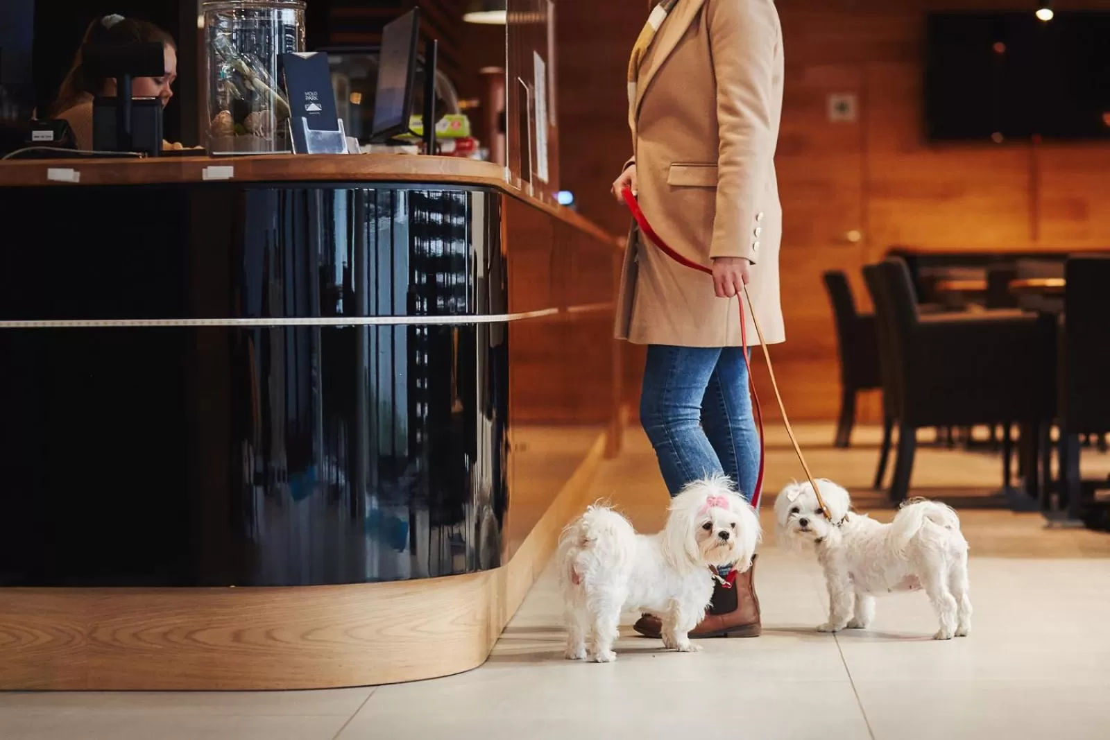 Pets in Molo Park Mielno