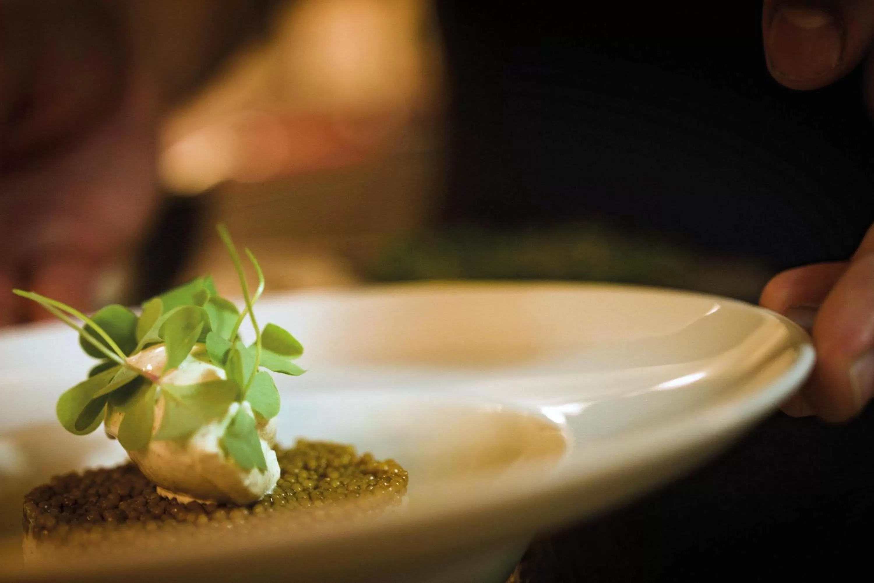 Restaurant/places to eat in Seminaris Avendi Hotel Potsdam