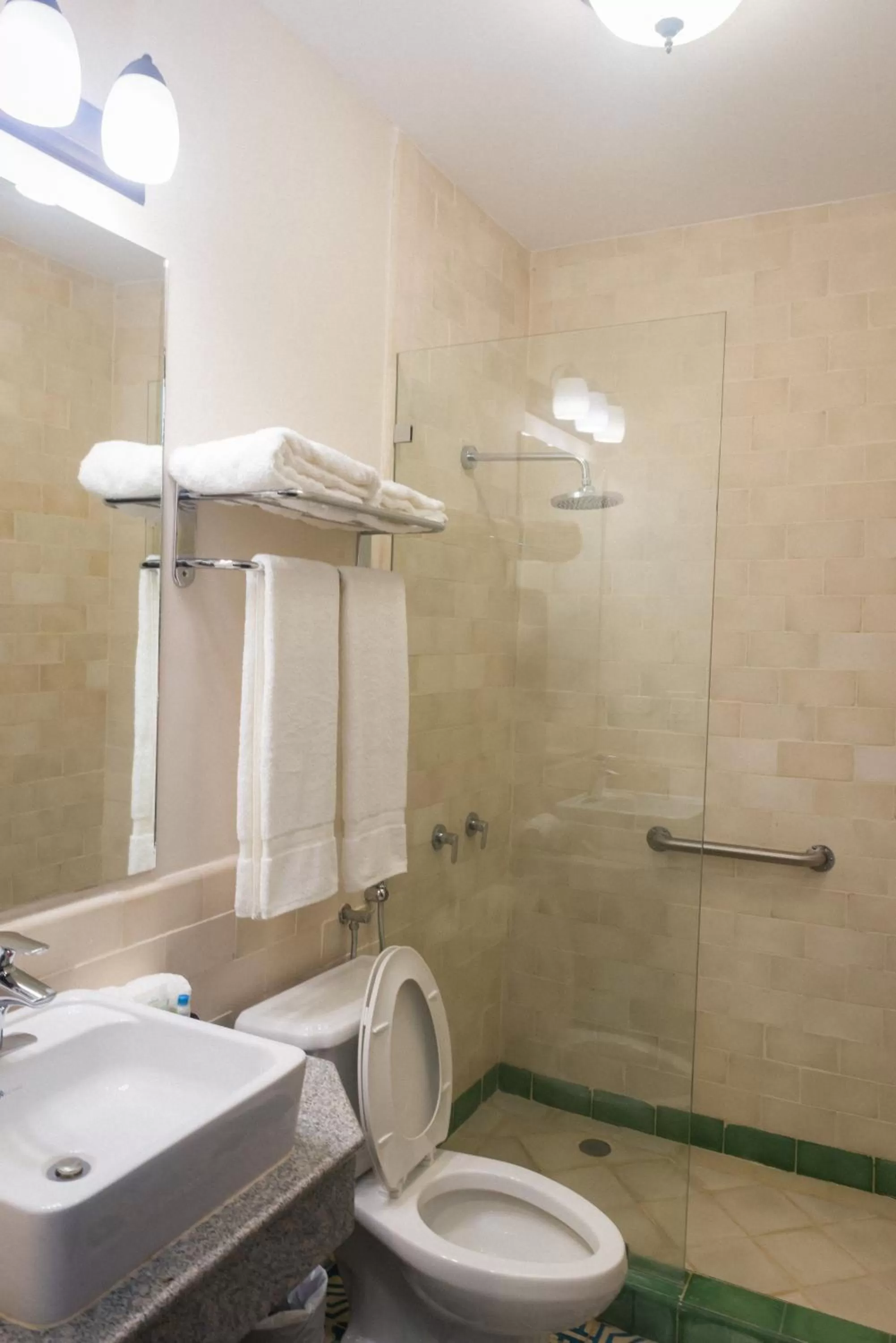 Bathroom in Hotel Presidente Las Tablas