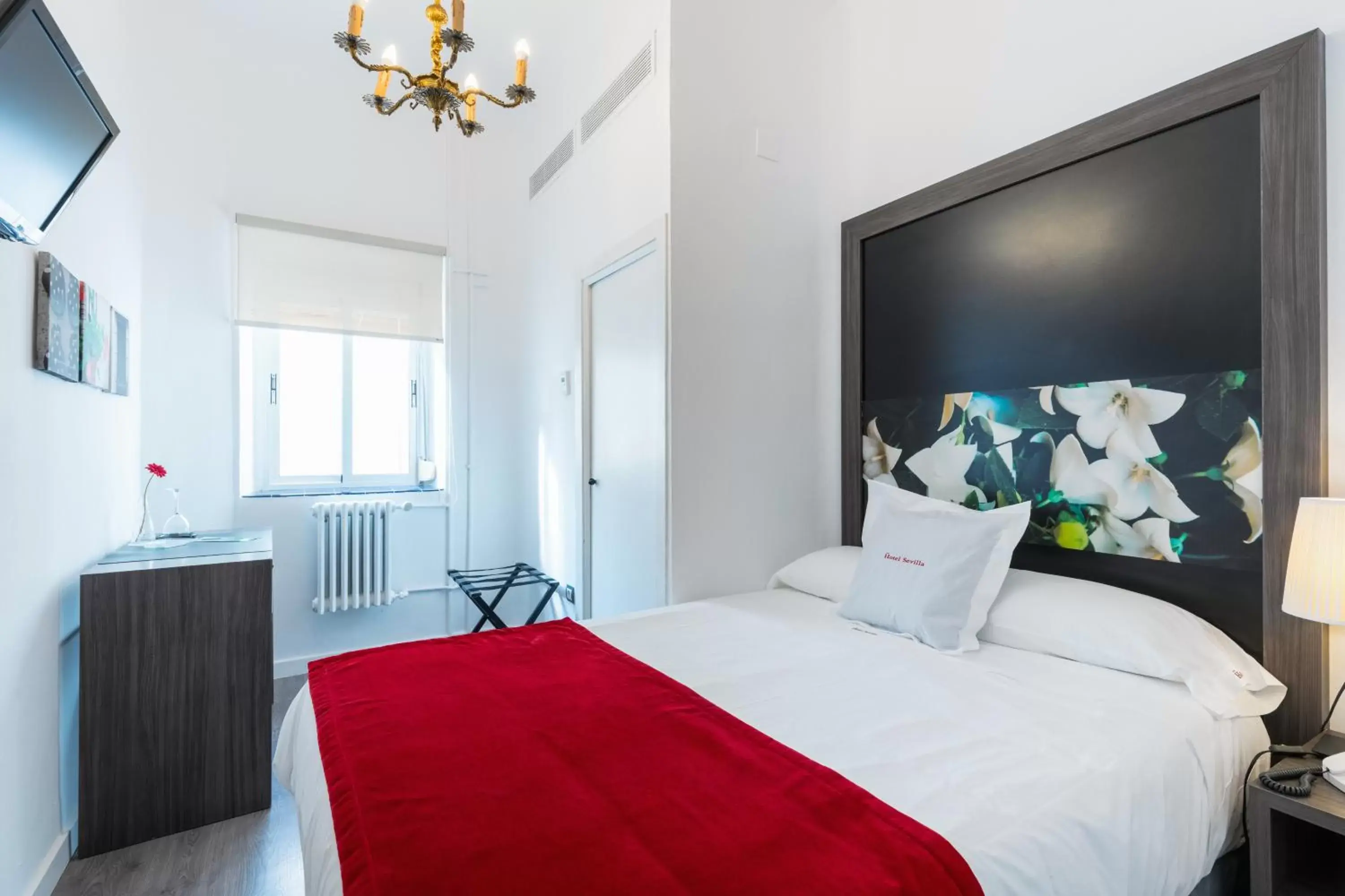 Standard Single Room in Hotel Sevilla Standard Single Room in Hotel Sevilla