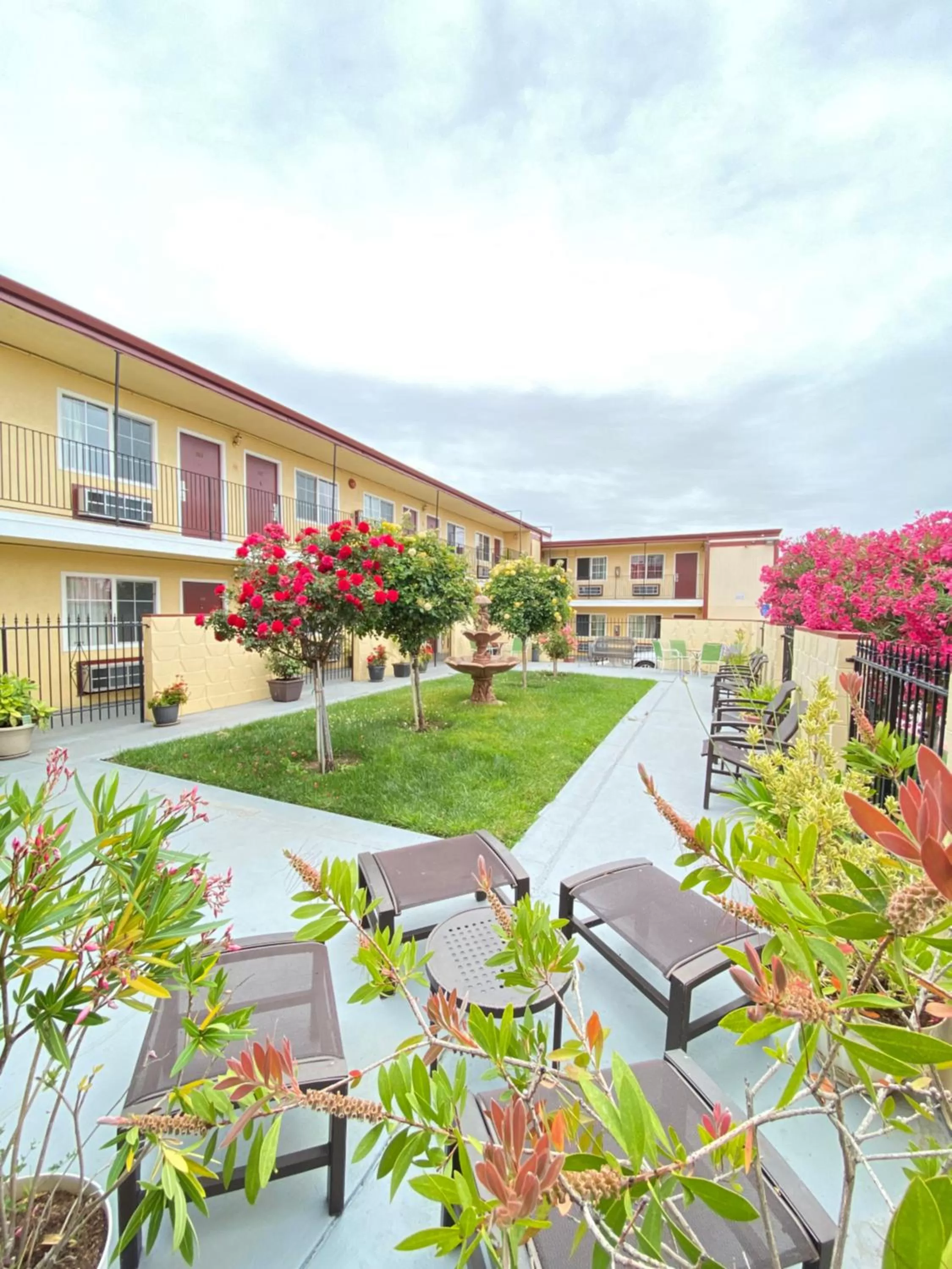 Garden in Motel 7 - Near Six Flags, Vallejo - Napa Valley