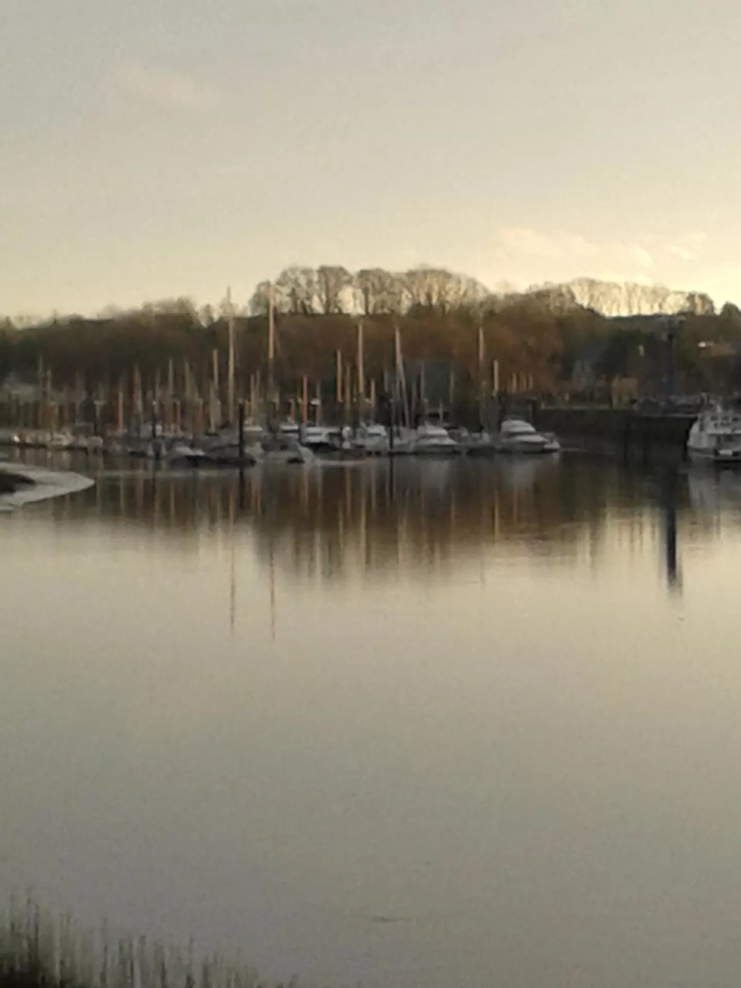 View (from property/room) in La Sirène