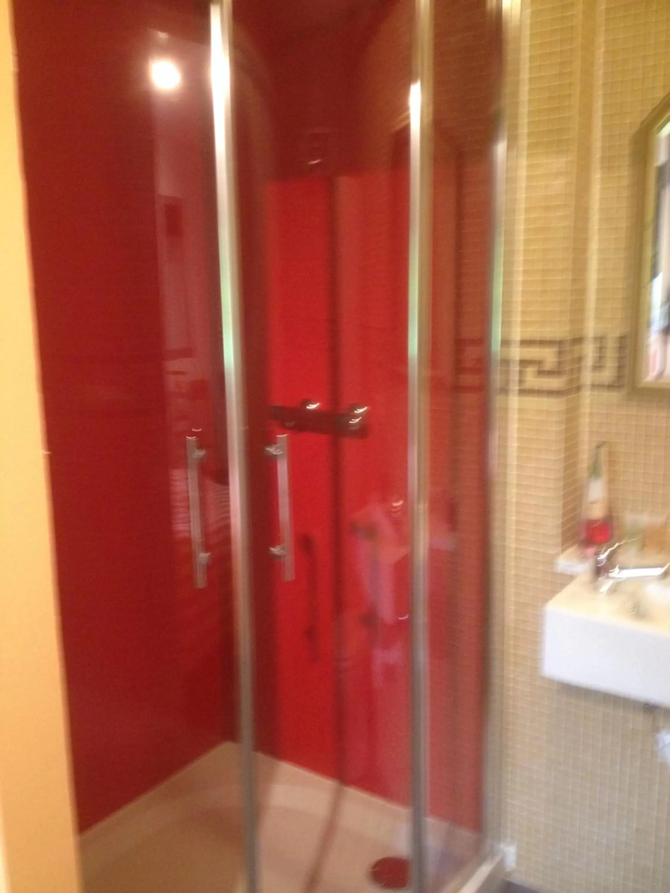 Shower, Bathroom in B&B Aalsters genot