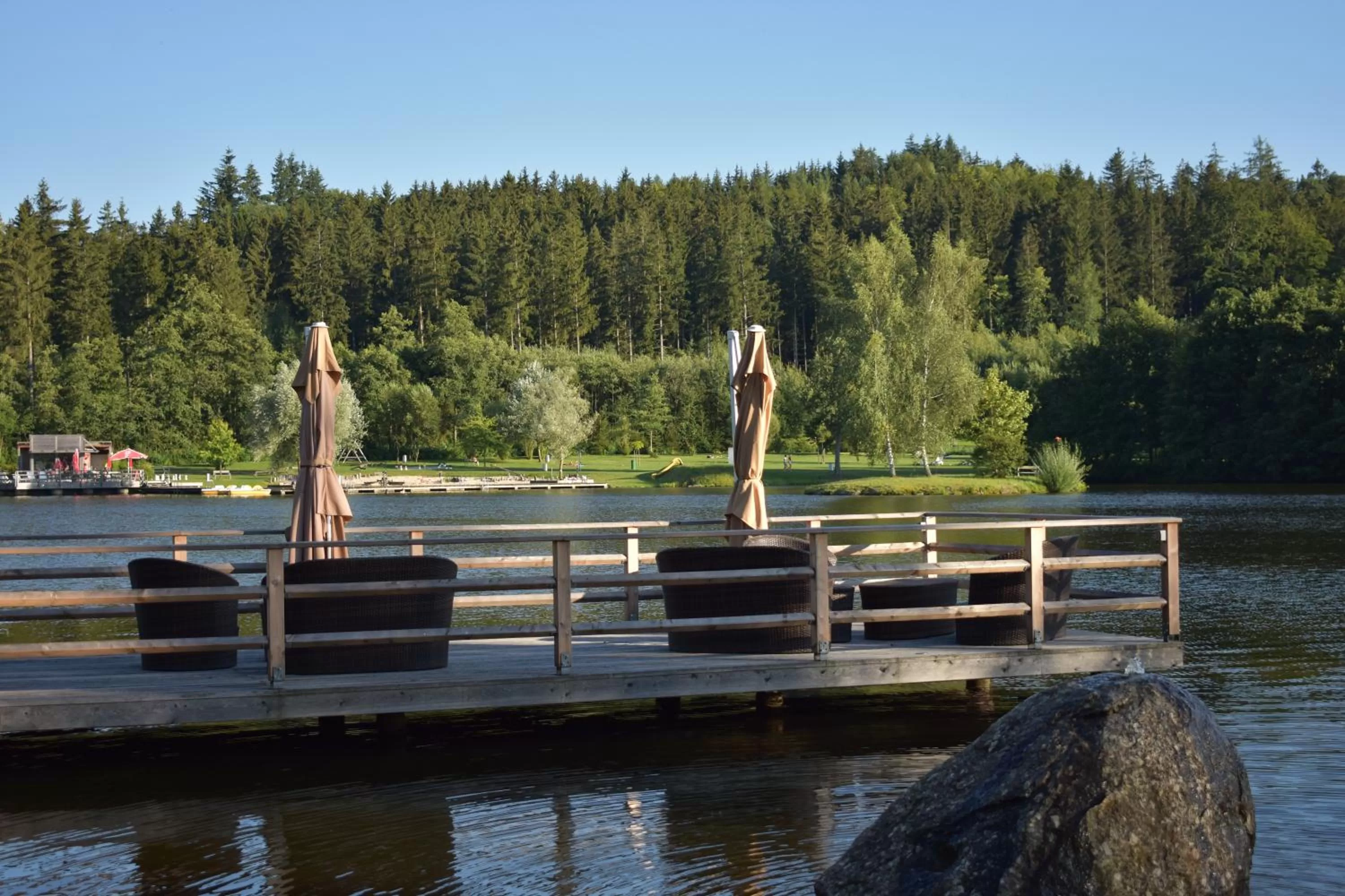 Area and facilities, Swimming Pool in Hotel Hausschachen