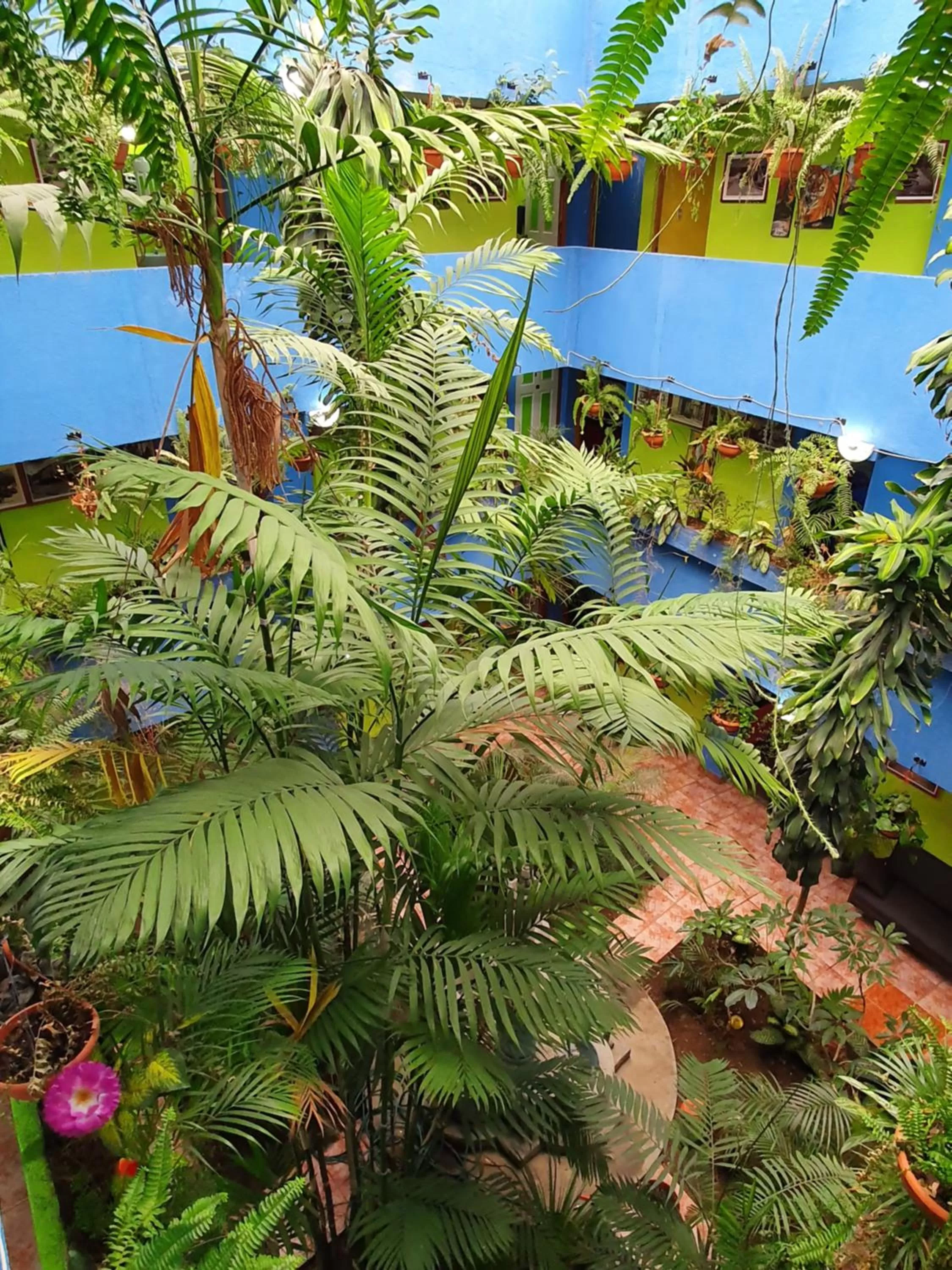 Pool View in hotel kasa kamelot 2