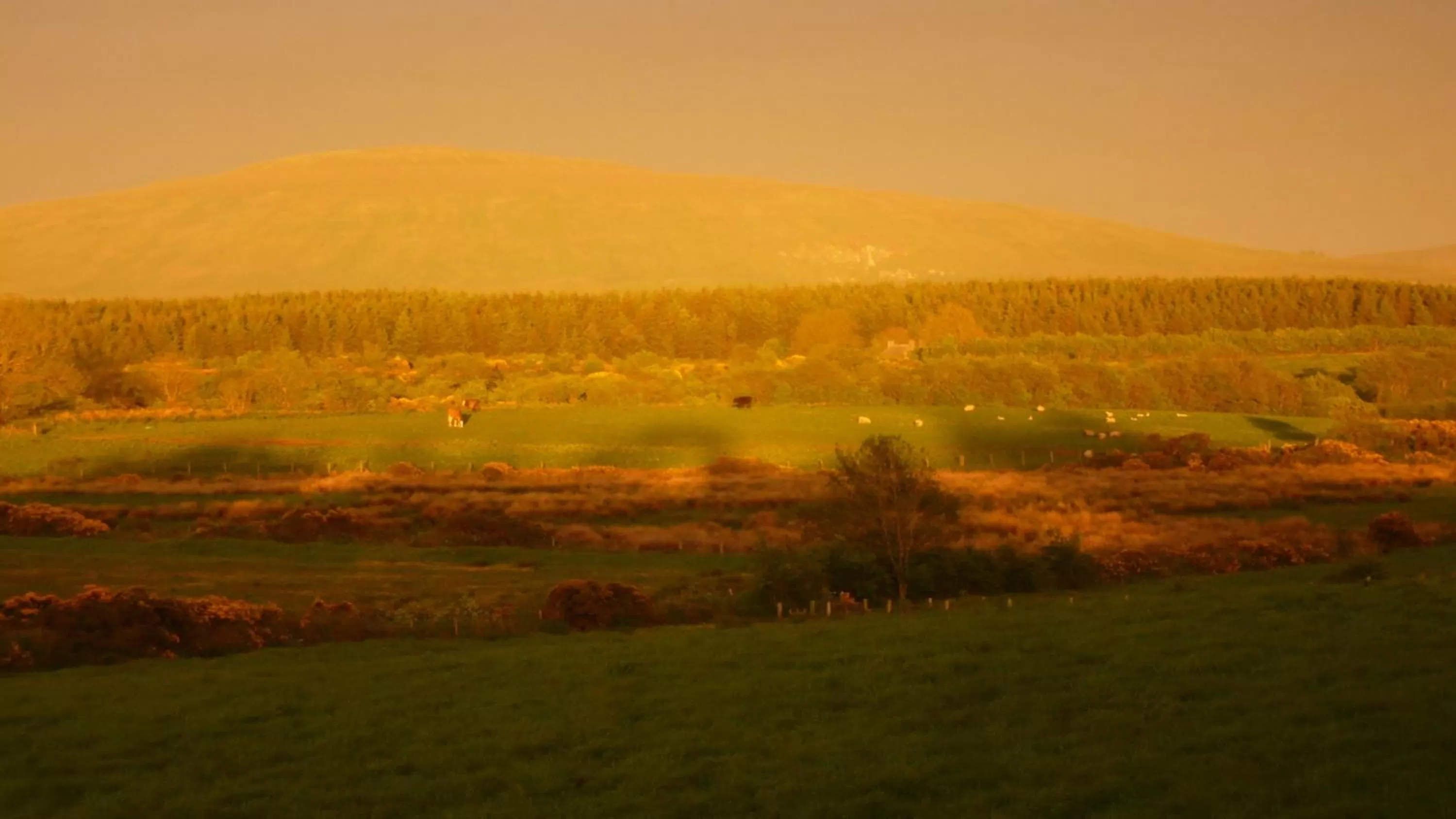 Natural landscape in Maghernahar House B&B