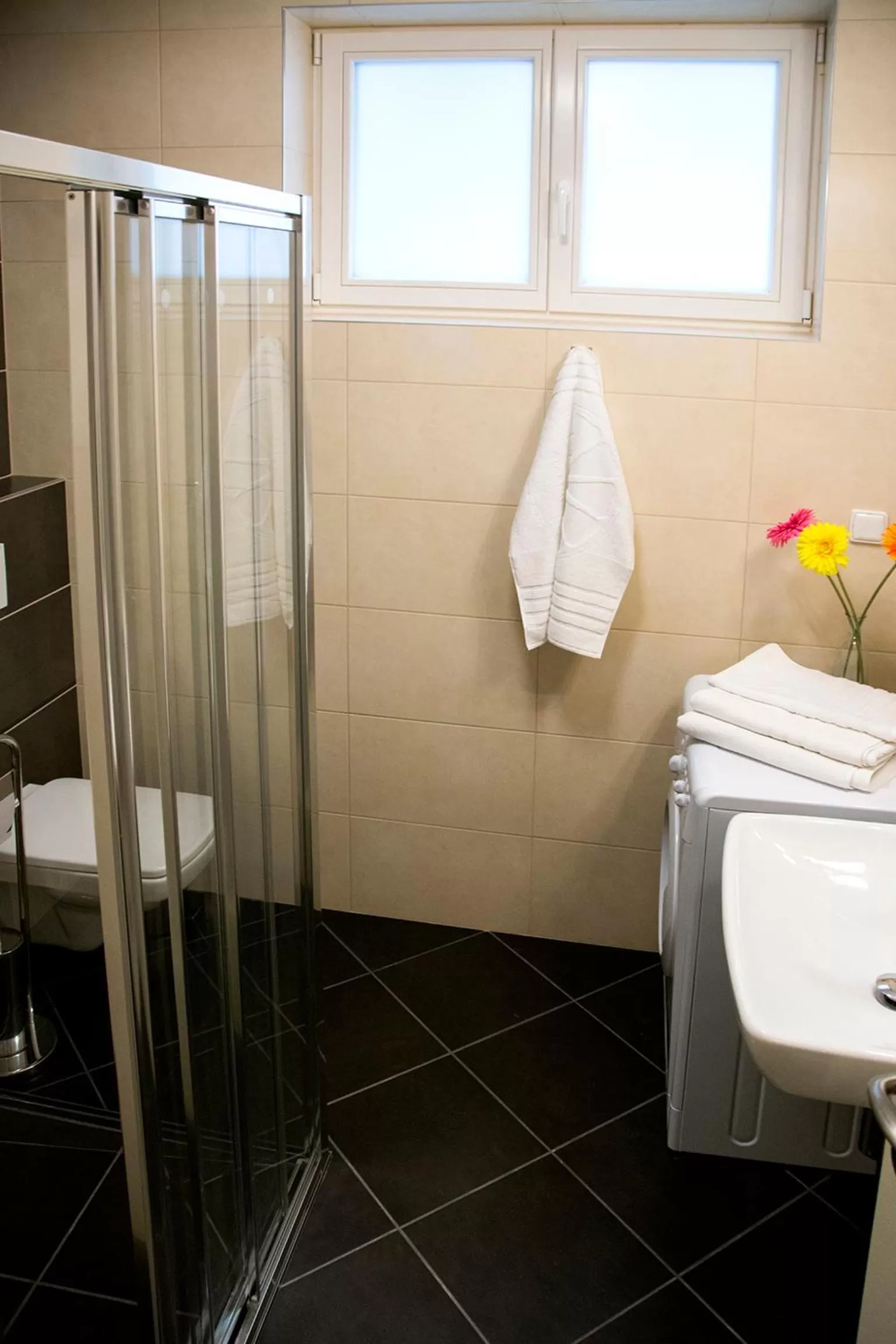 Shower in Limes Apartments