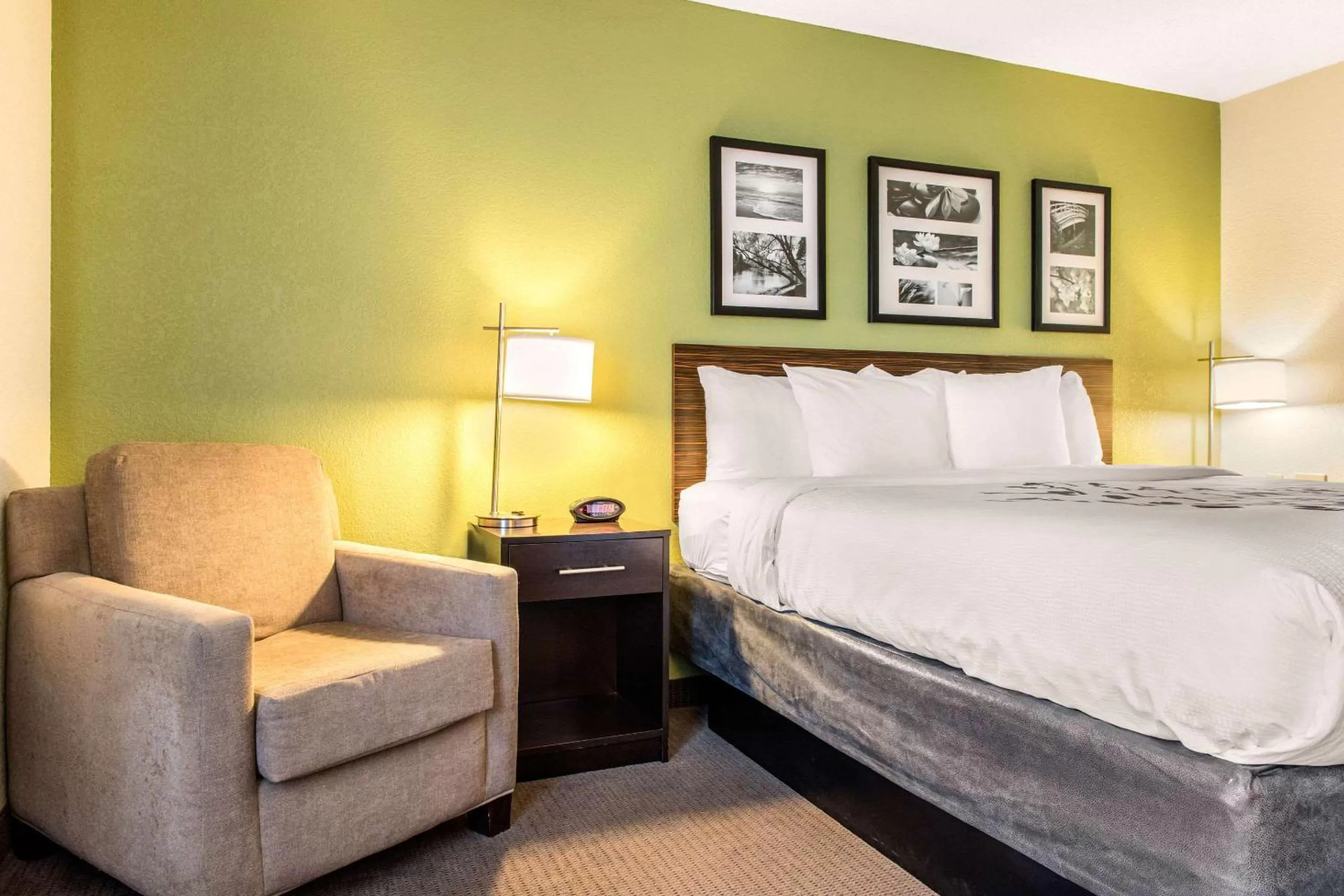 Photo of the whole room, Bed in Sleep Inn & Suites Columbus South