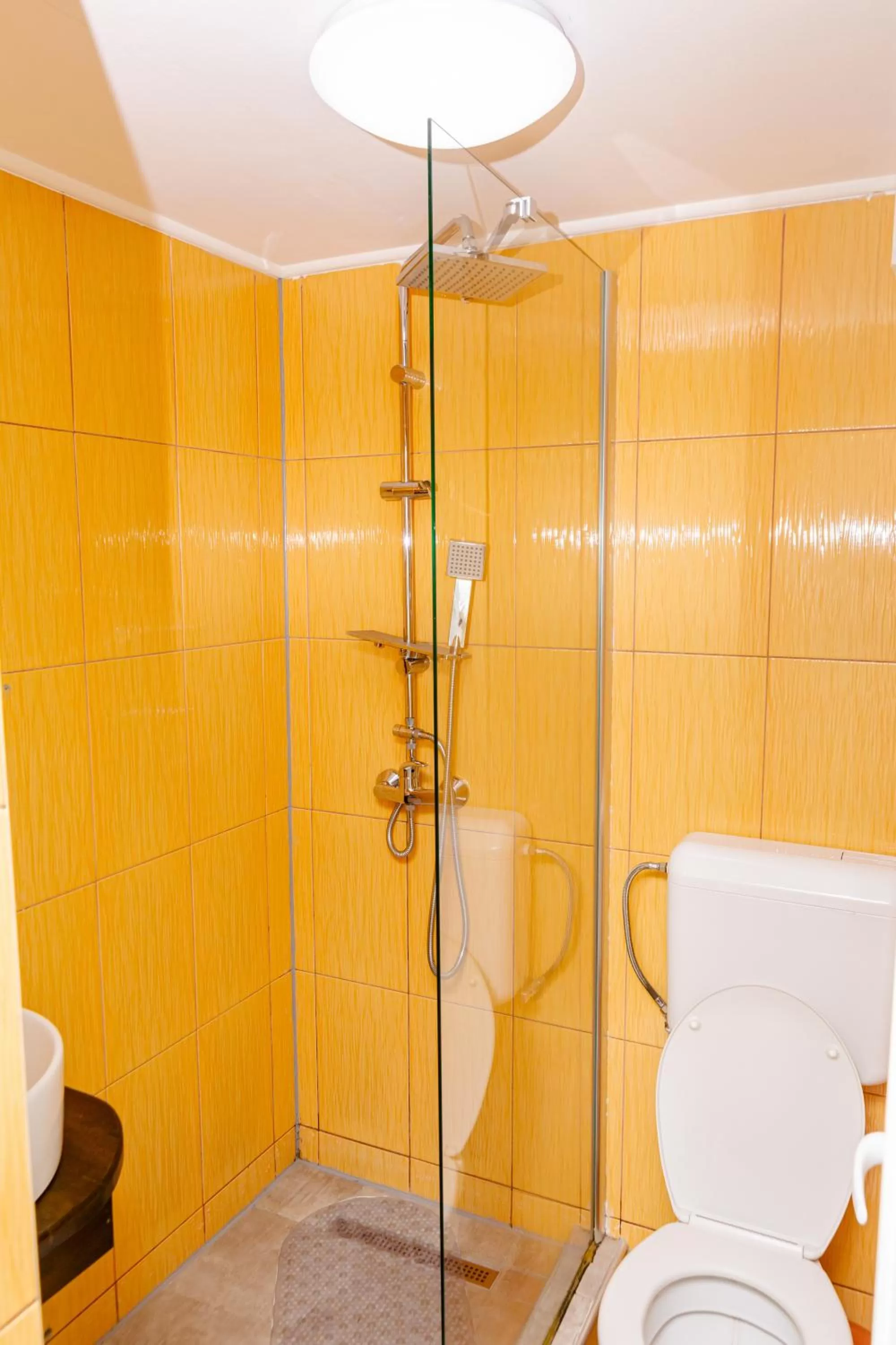 Bathroom in Pensiunea Pictorilor