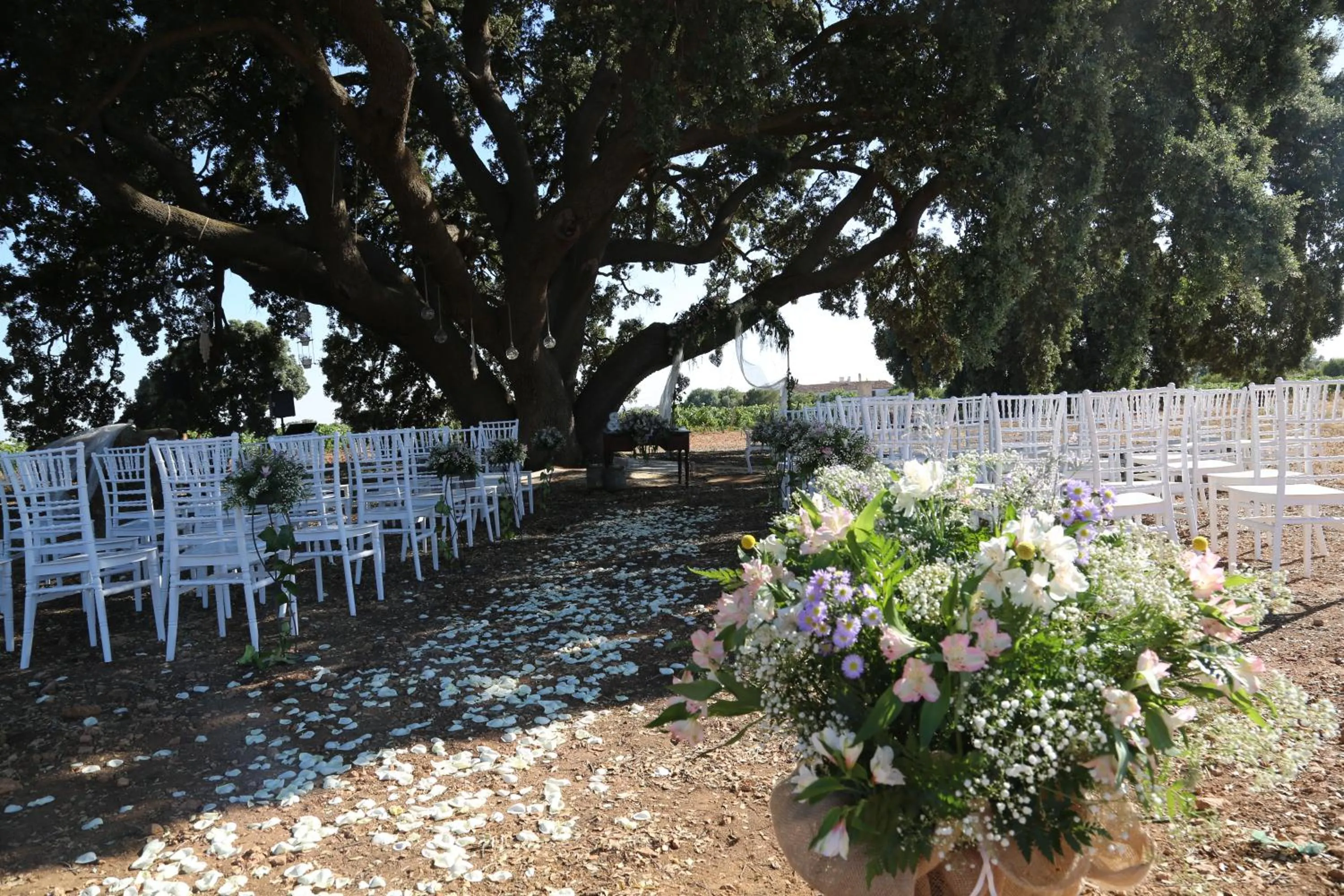 Lunch in Hotel Universidad