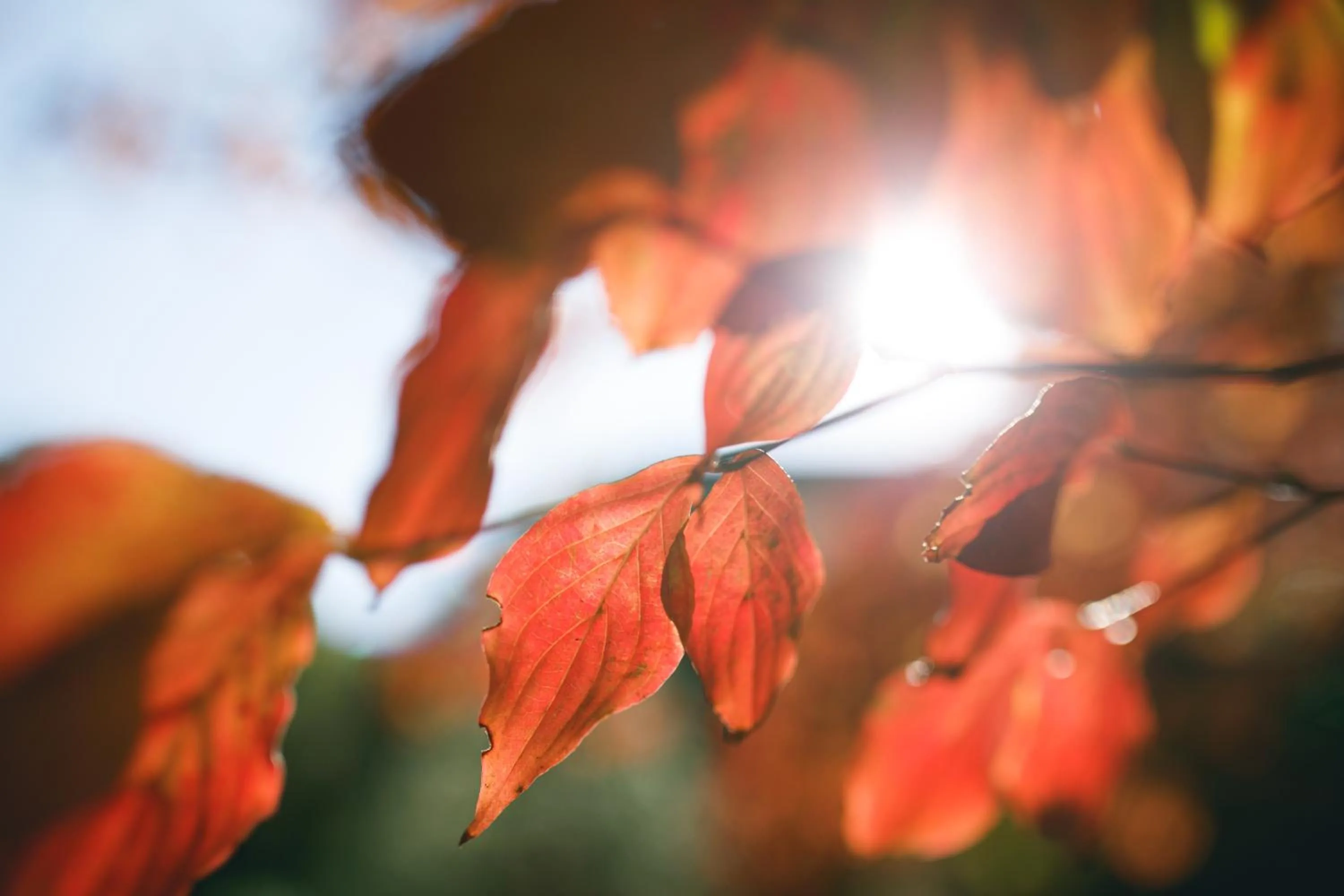 Nearby landmark in Hatori