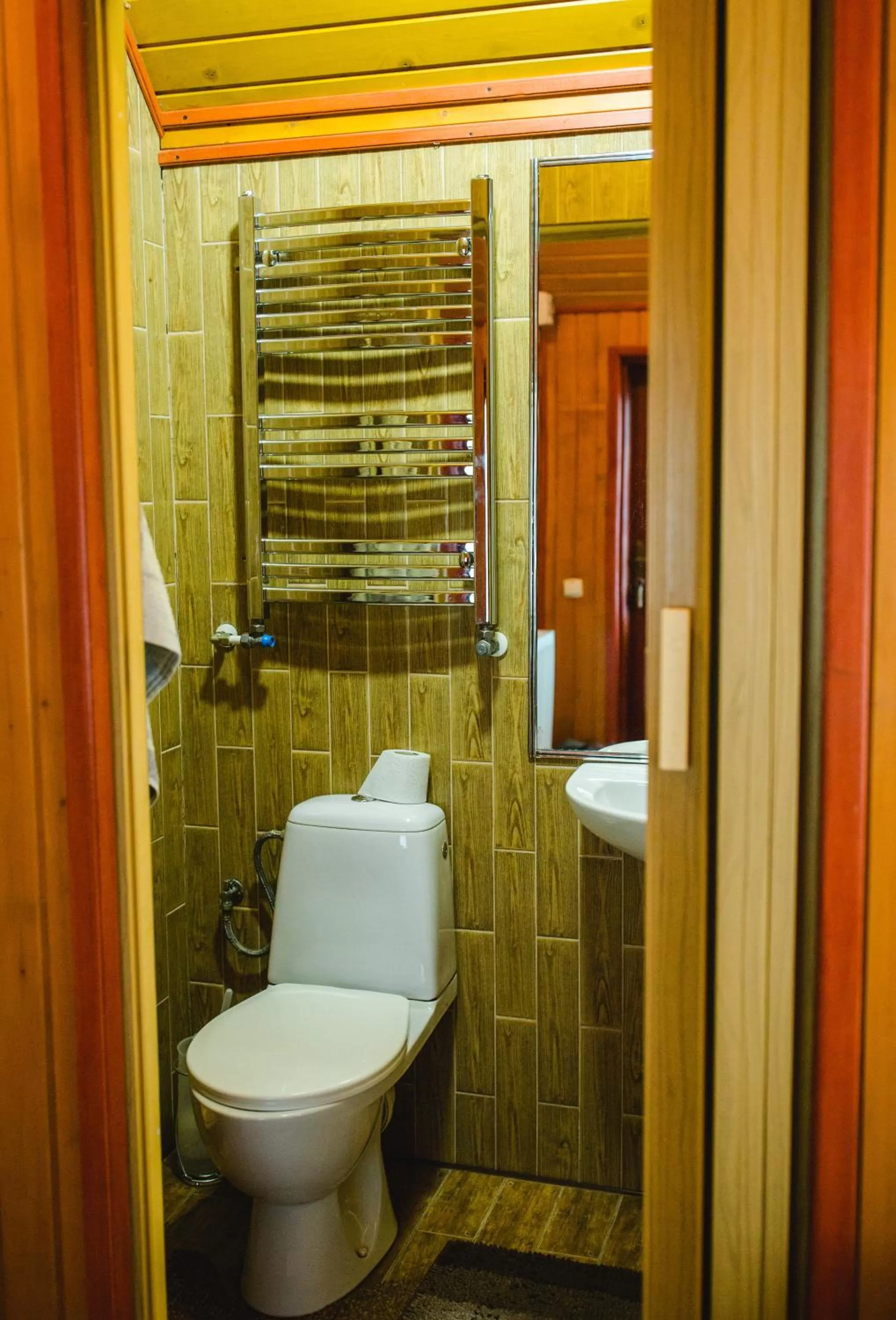 Shower, Bathroom in Kolyba Opryshkiv