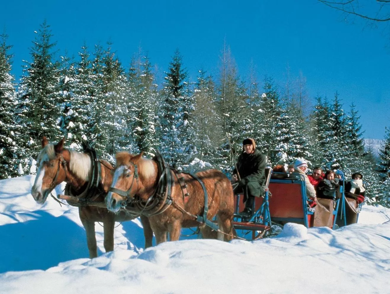 Activities, Winter in DIANA Naturpark Hotel - mit Oberstaufen Plus Golf-Gästekarte