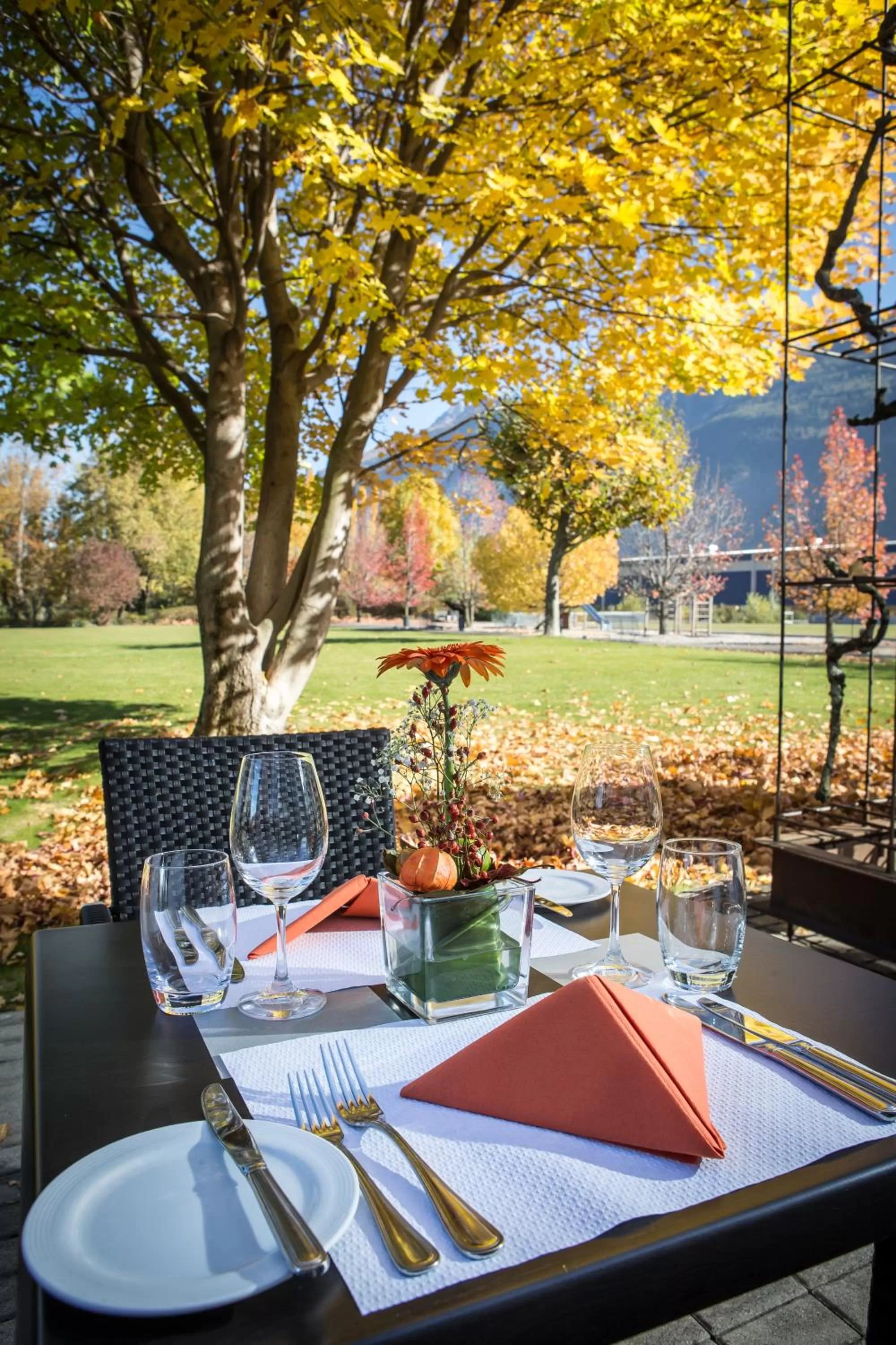 Balcony/Terrace in Hotel Vatel 4* Superior