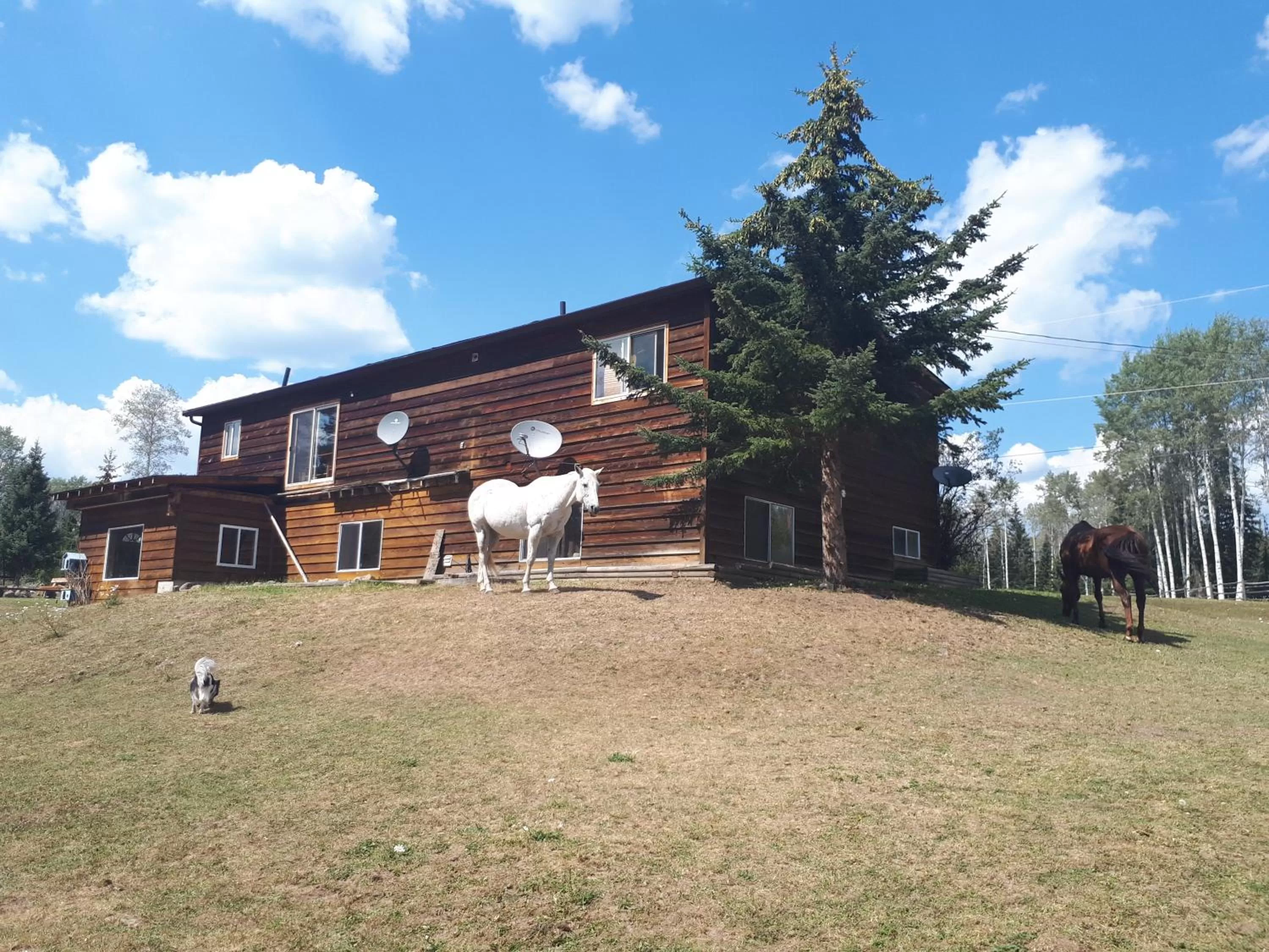 Wettstone Guest Ranch