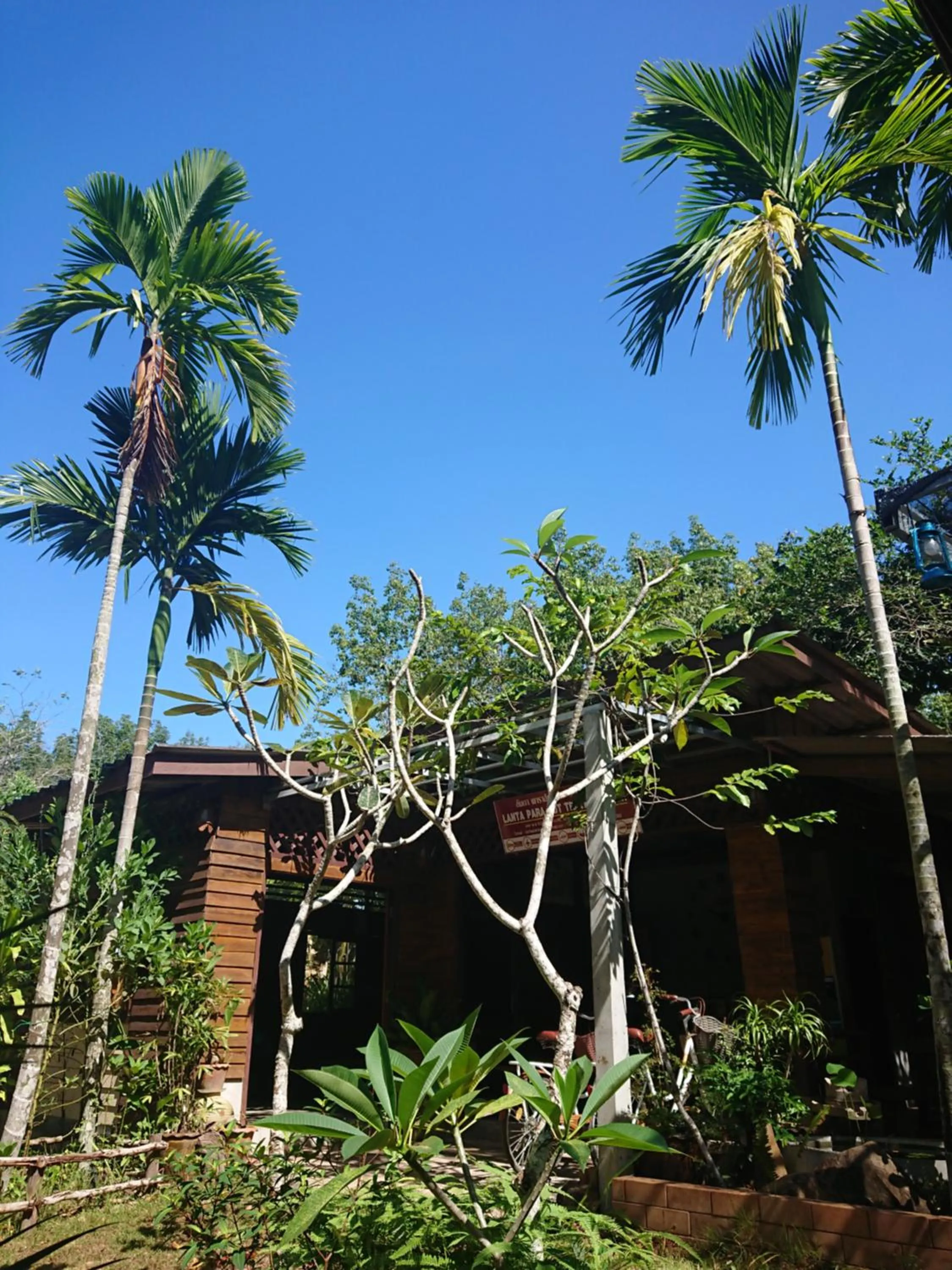 Garden in Lanta Para hut