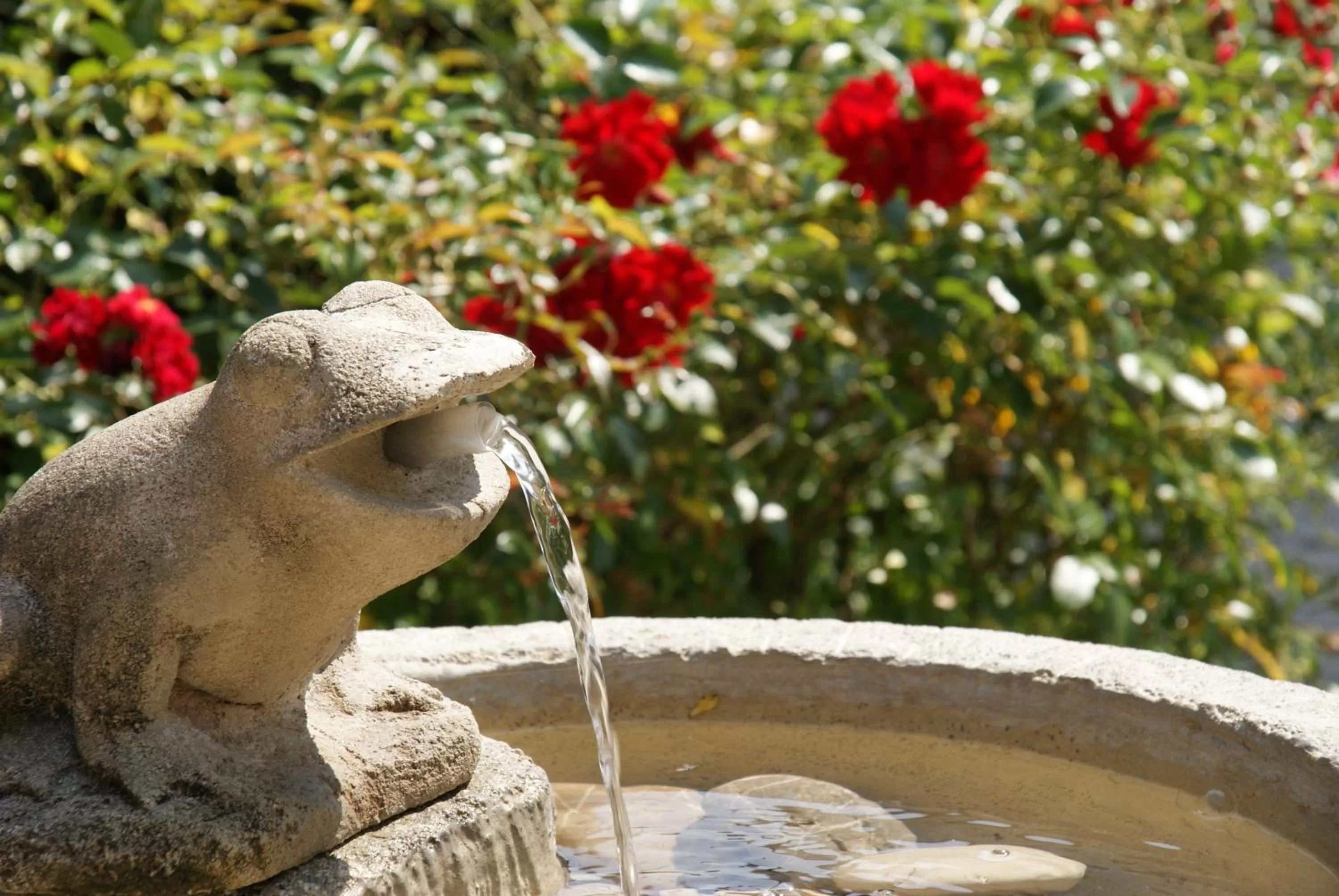 Garden in Hotel Lechnerhof Unterföhring
