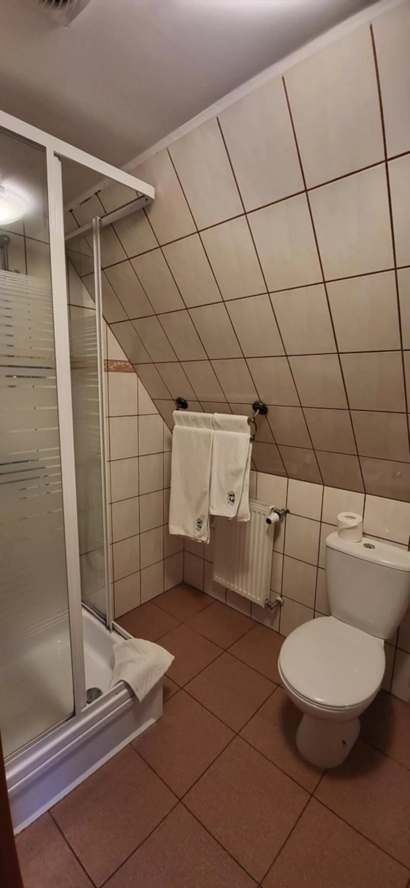 Shower in Dom Schumannów