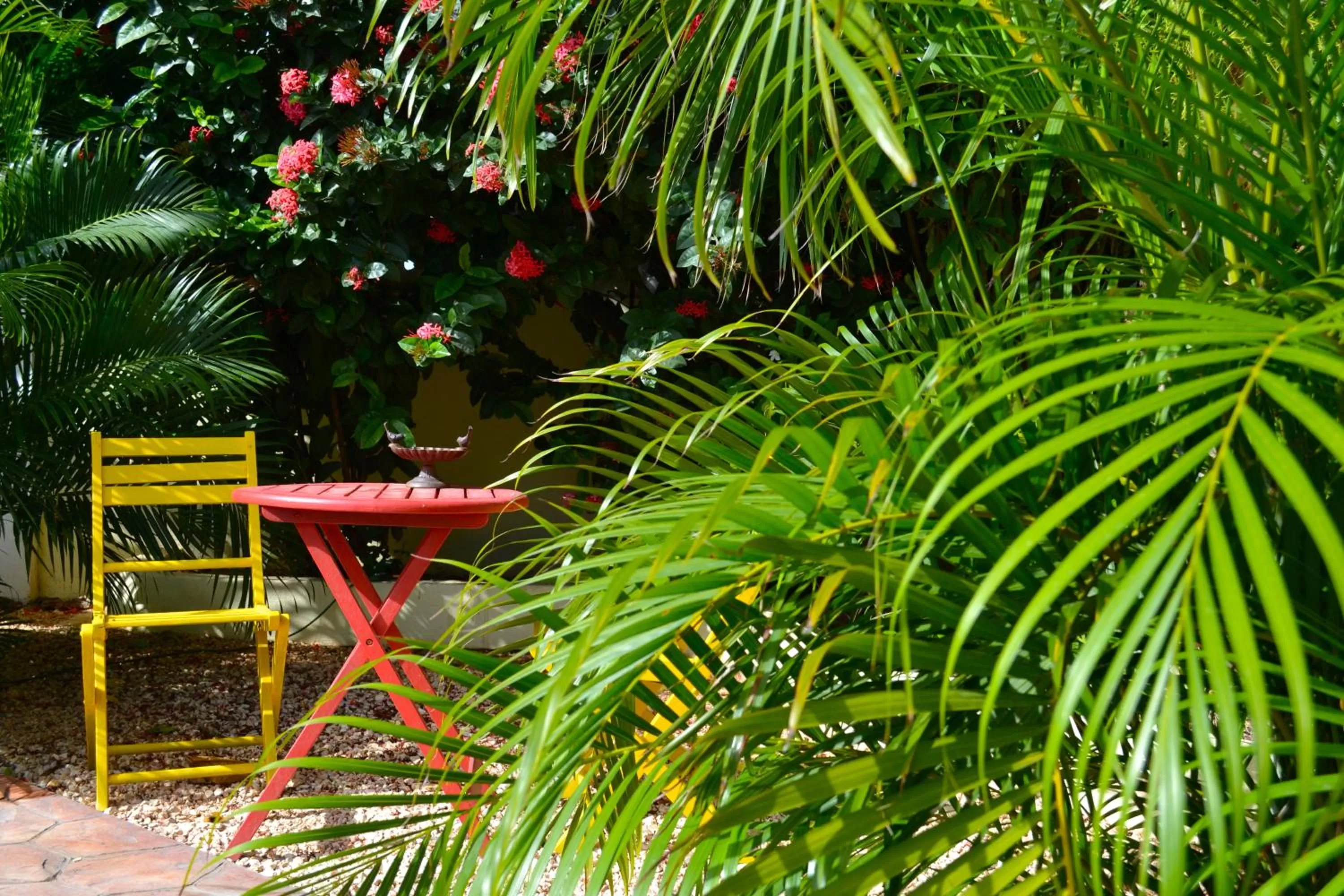 Garden in Wonders Boutique Hotel